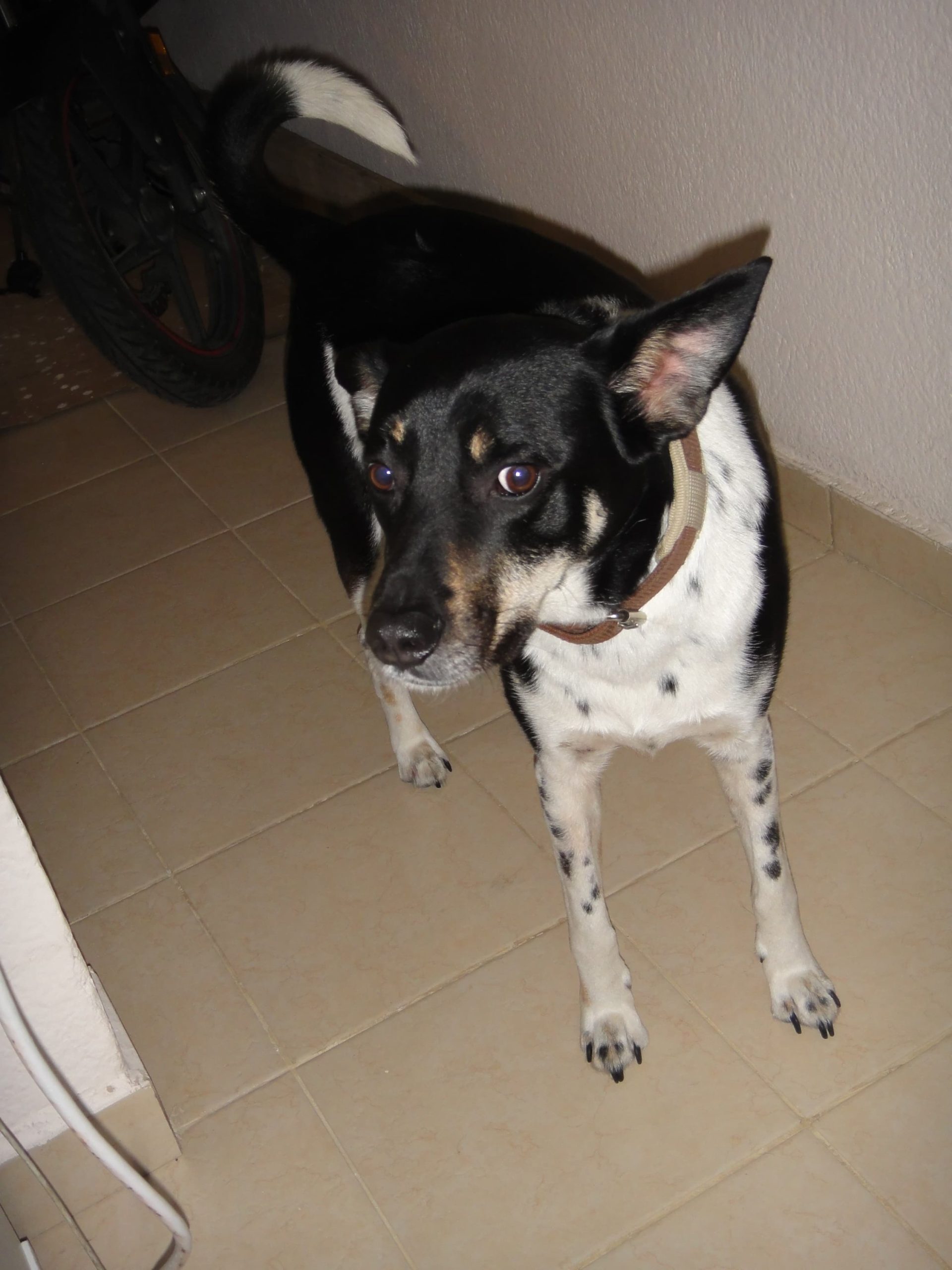 Sony Cybershot DSC TX5 - Imagen 6