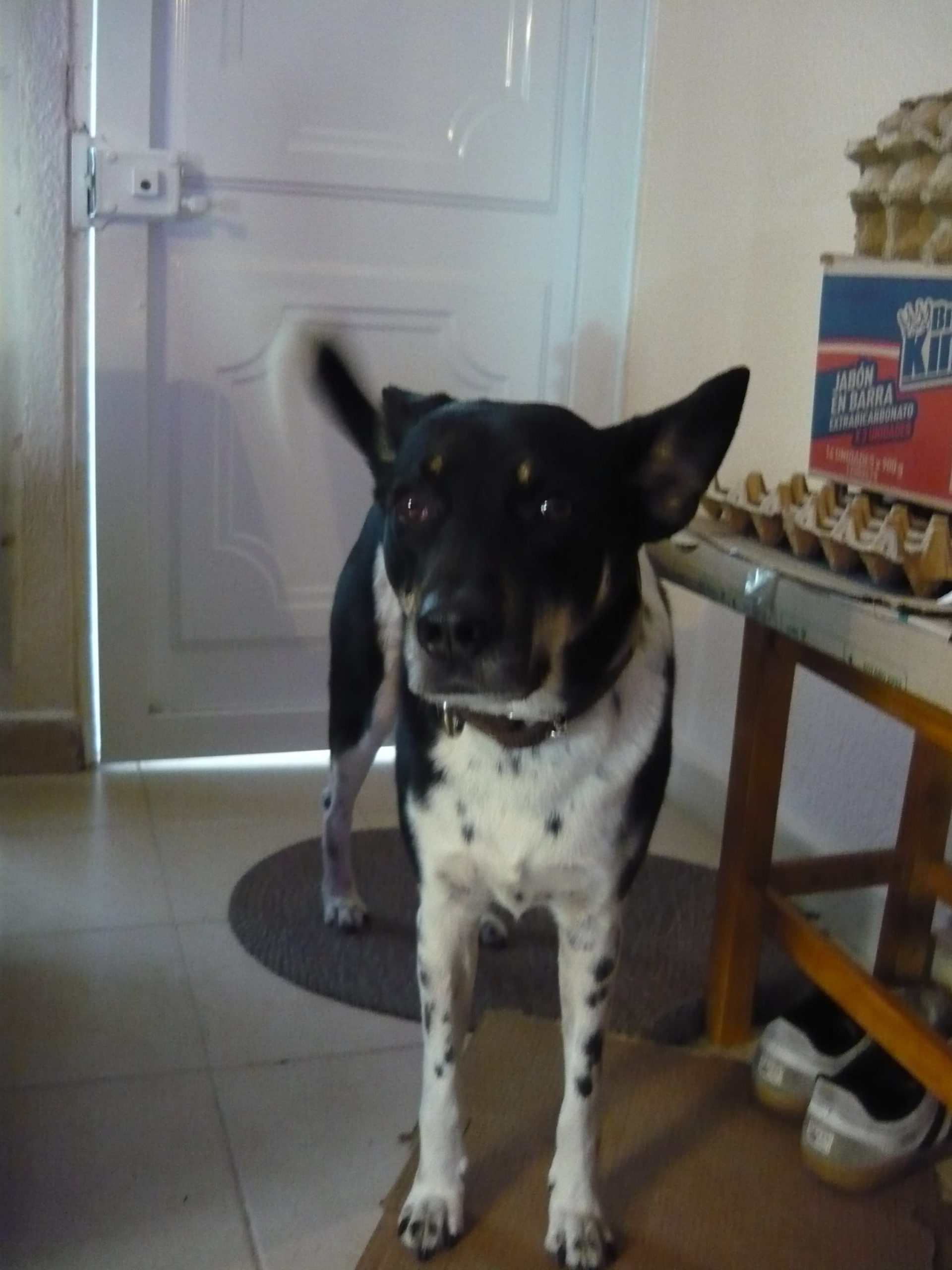 Lumix LS80 - Imagen 9