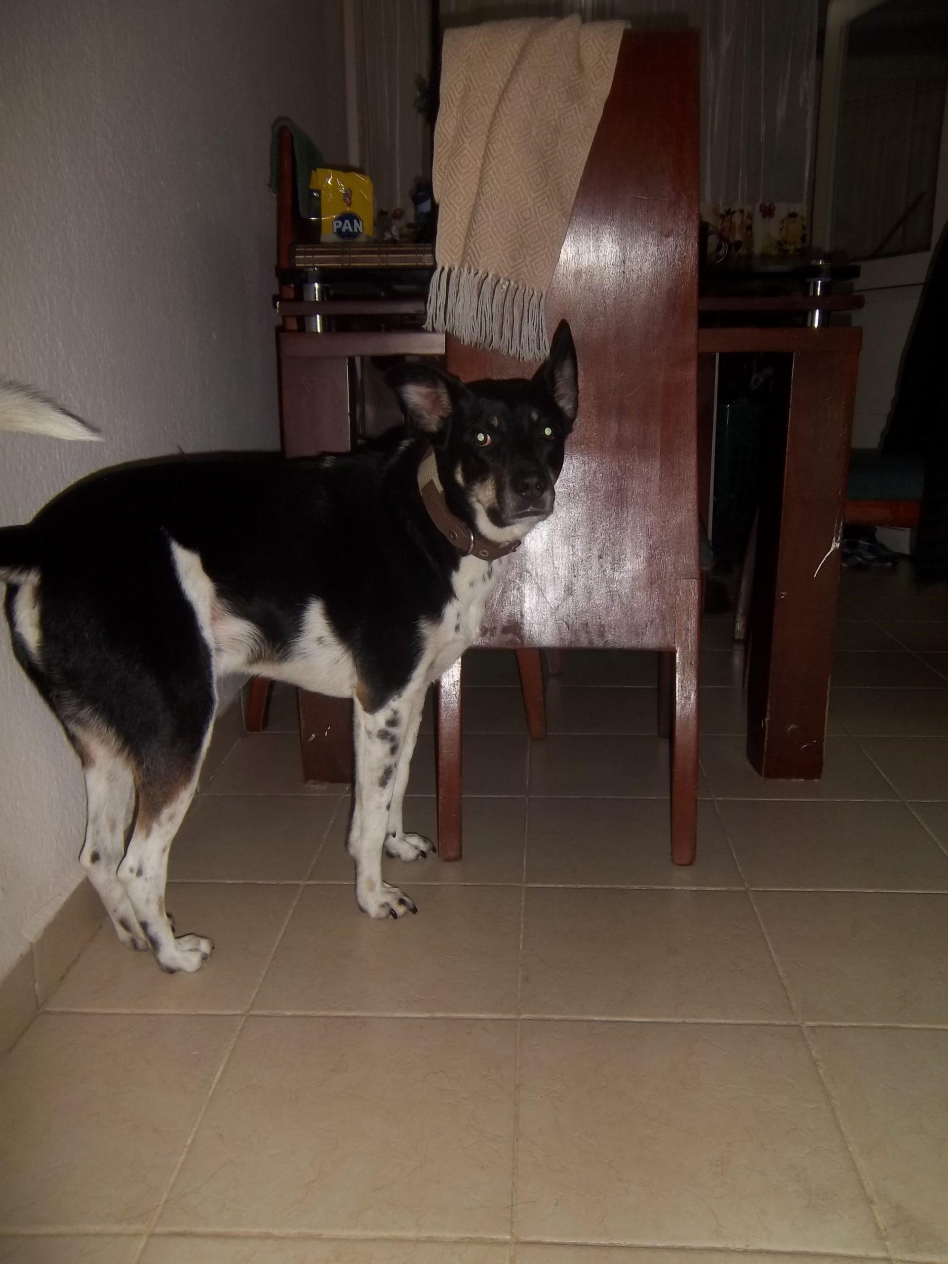 Kodak Easyshare M575 - Imagen 5