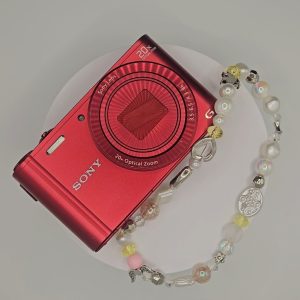 Sony Cybershot DSC-WX300