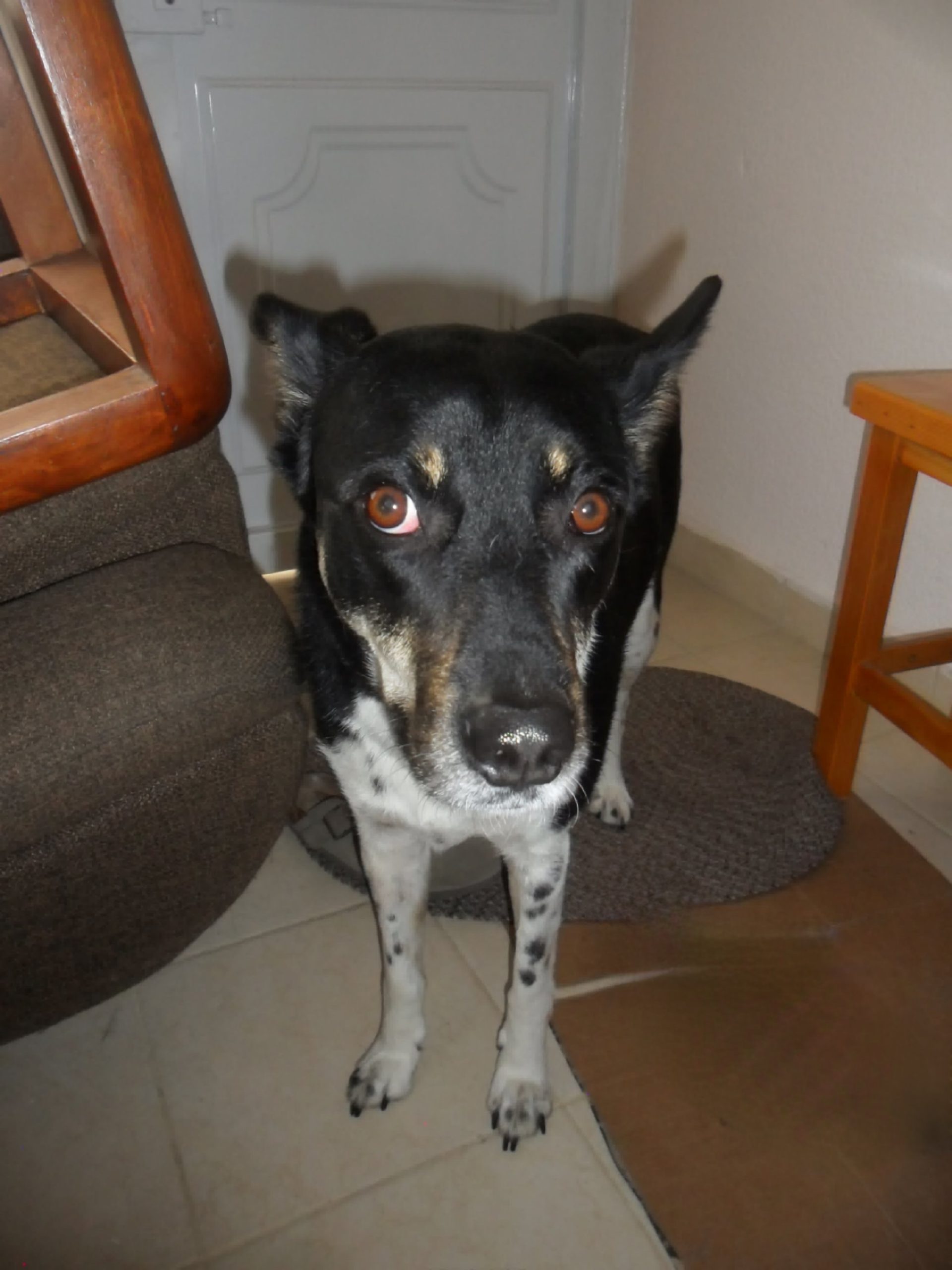 Samsung ES65 - Imagen 6