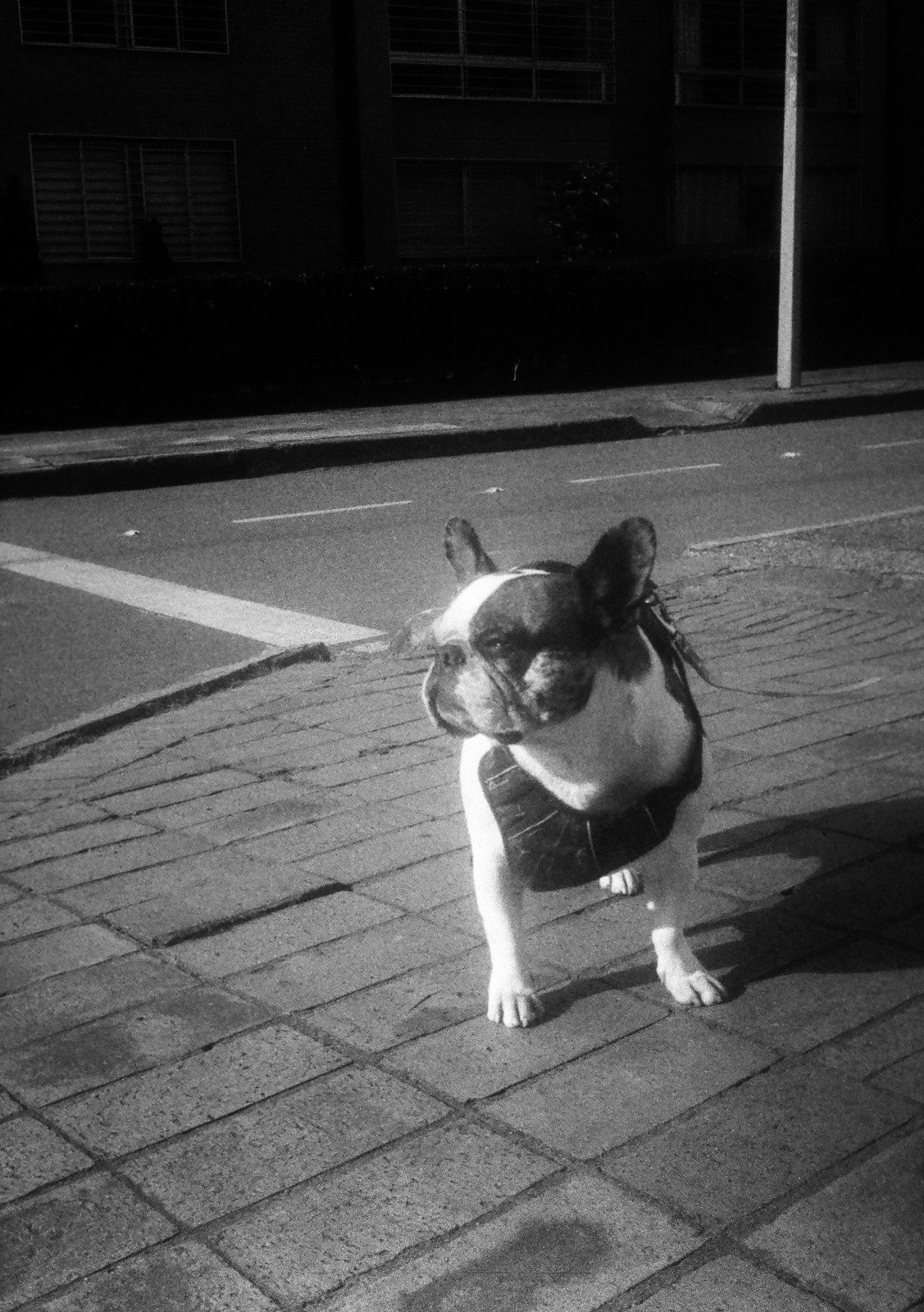 OLYMPUS PEN EE2 - Imagen 4