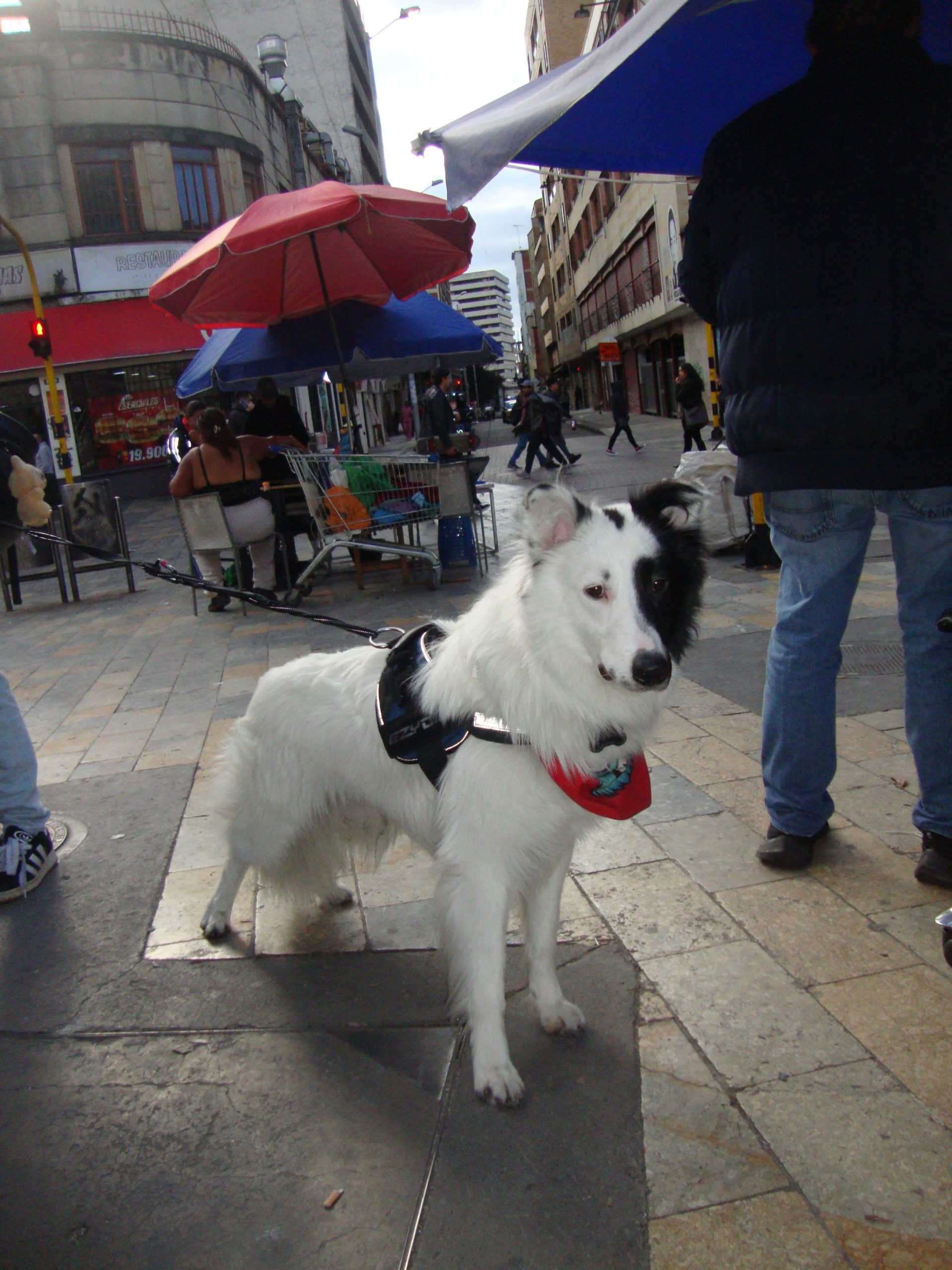 Sony cybershot W220 - Imagen 6