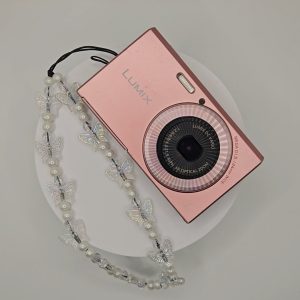 Lumix FH10