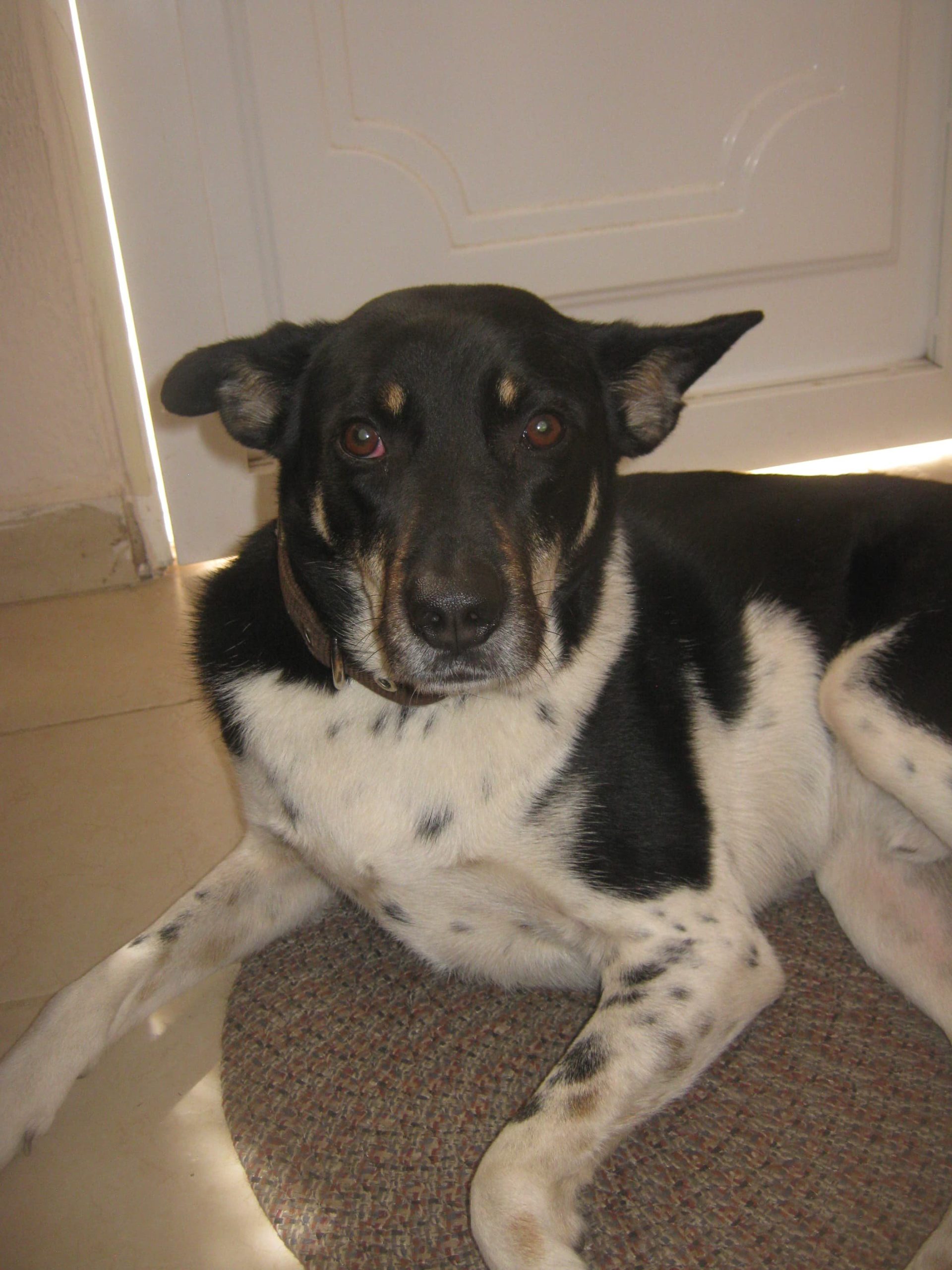 Canon powershot A480 - Imagen 9