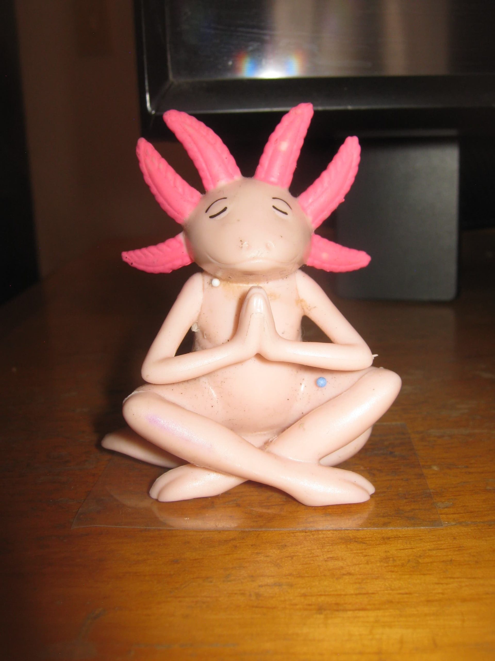 Canon powershot A480 - Imagen 6