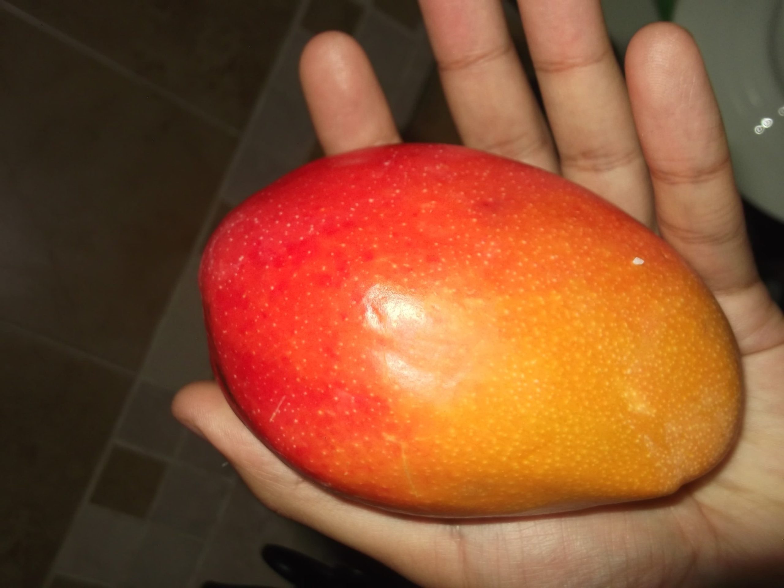 Fujifilm Finepix C10 - Imagen 8