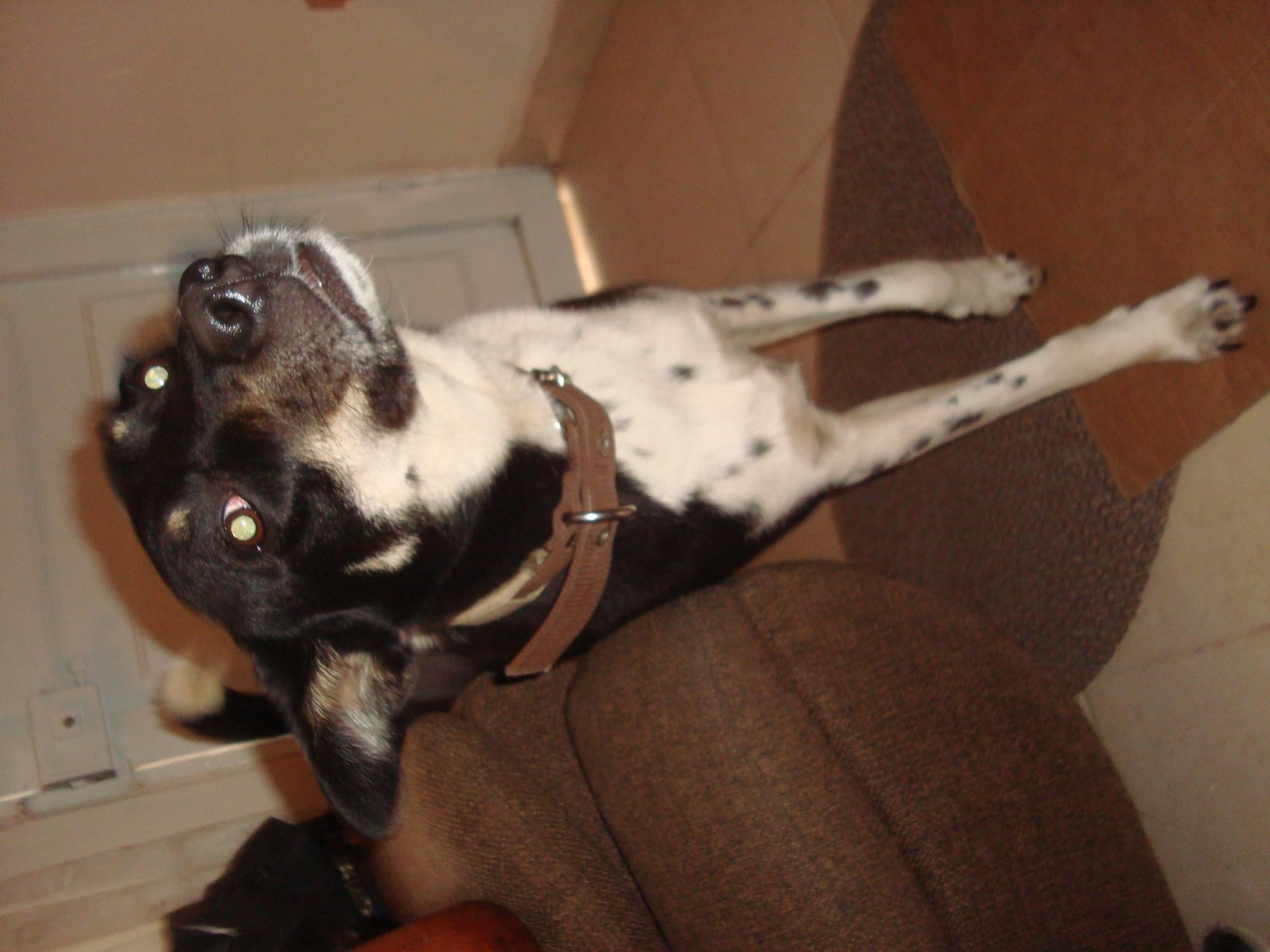 Sony cybershot W110 - Imagen 10