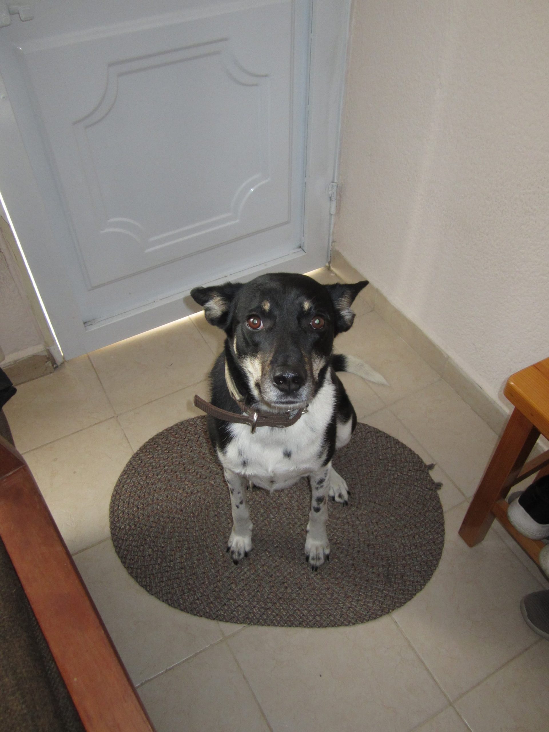 Canon Elph 100 HS - Imagen 9