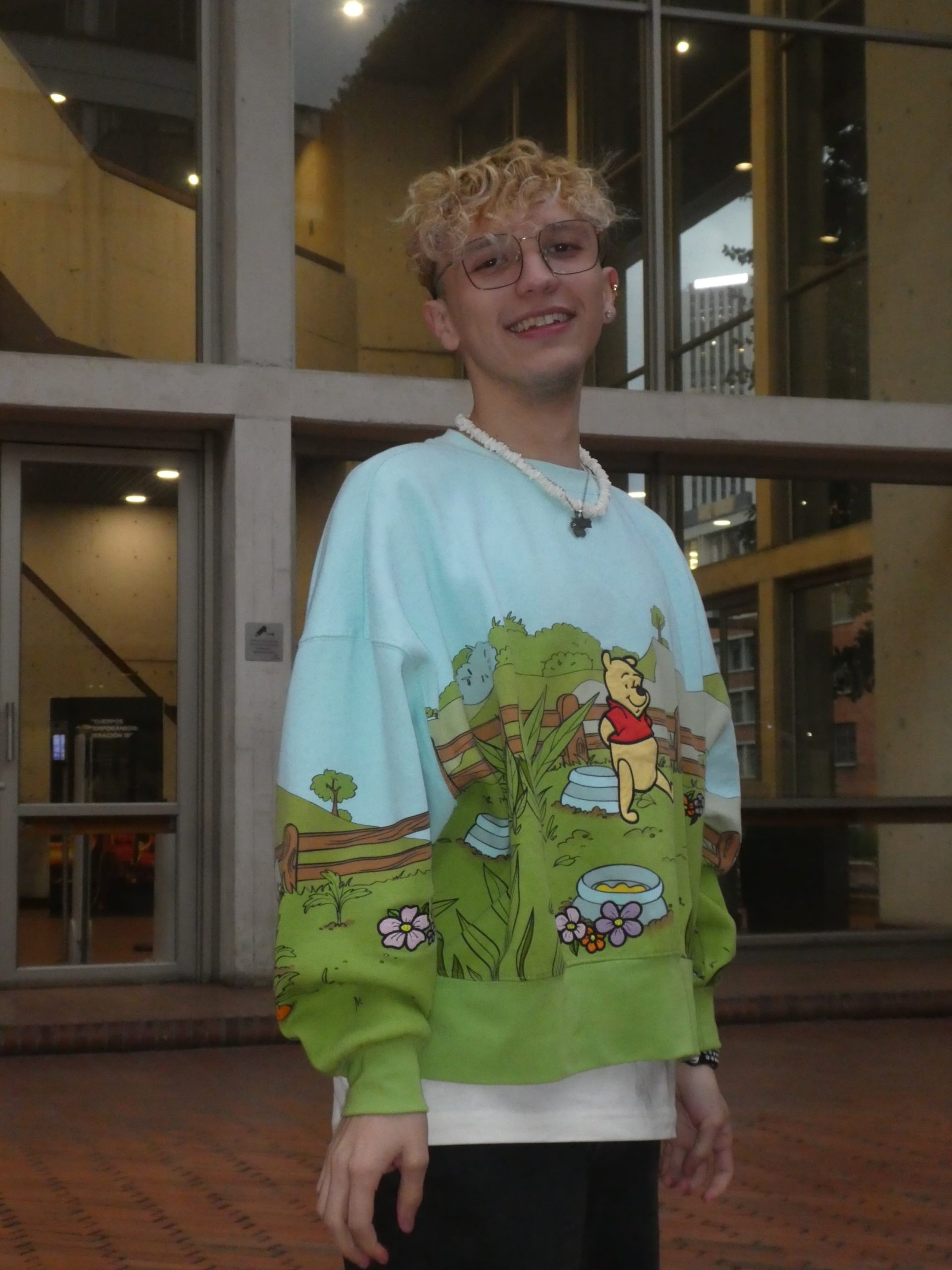 Lumix TZ81 - Imagen 5