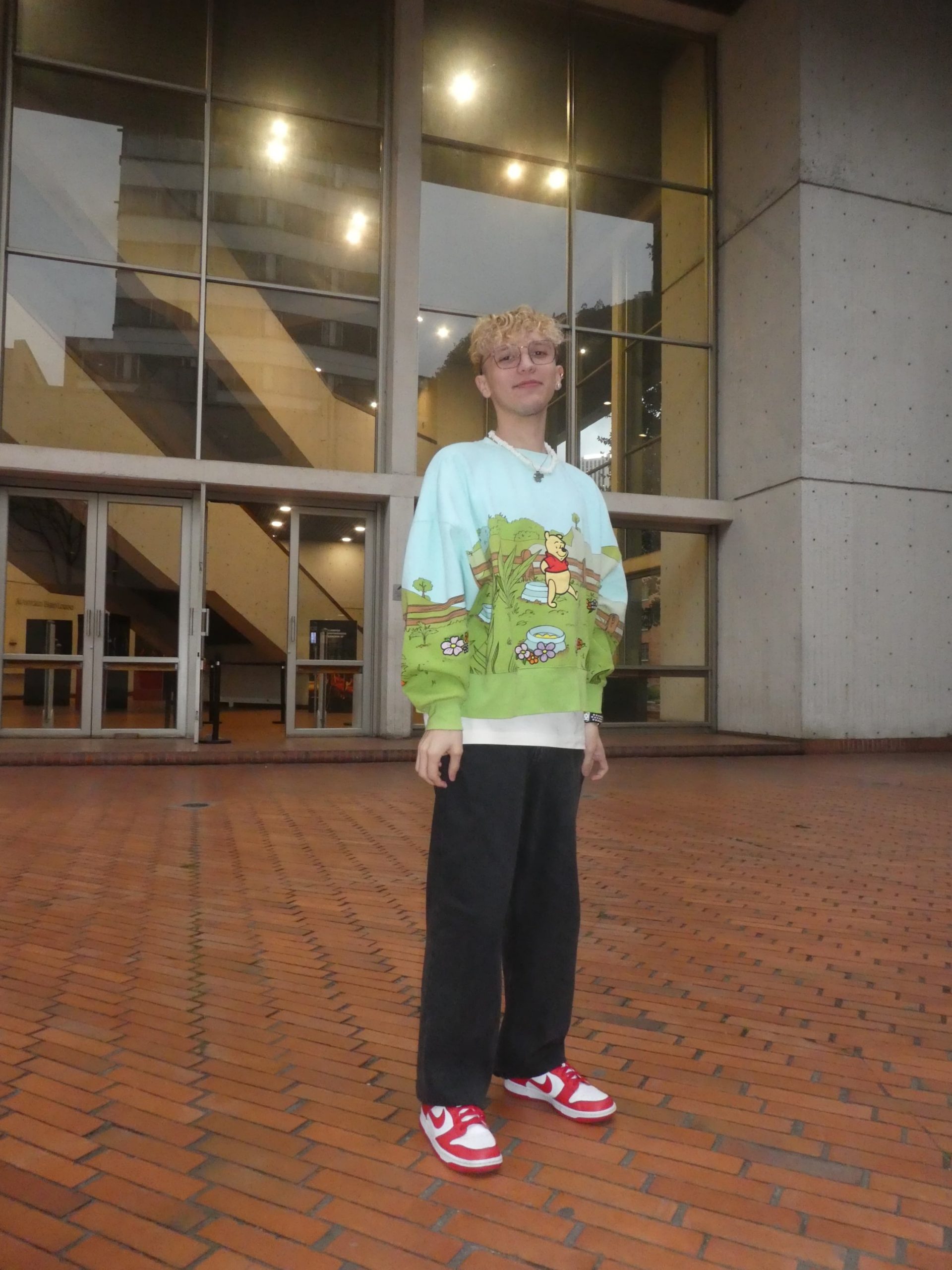 Lumix TZ81 - Imagen 6