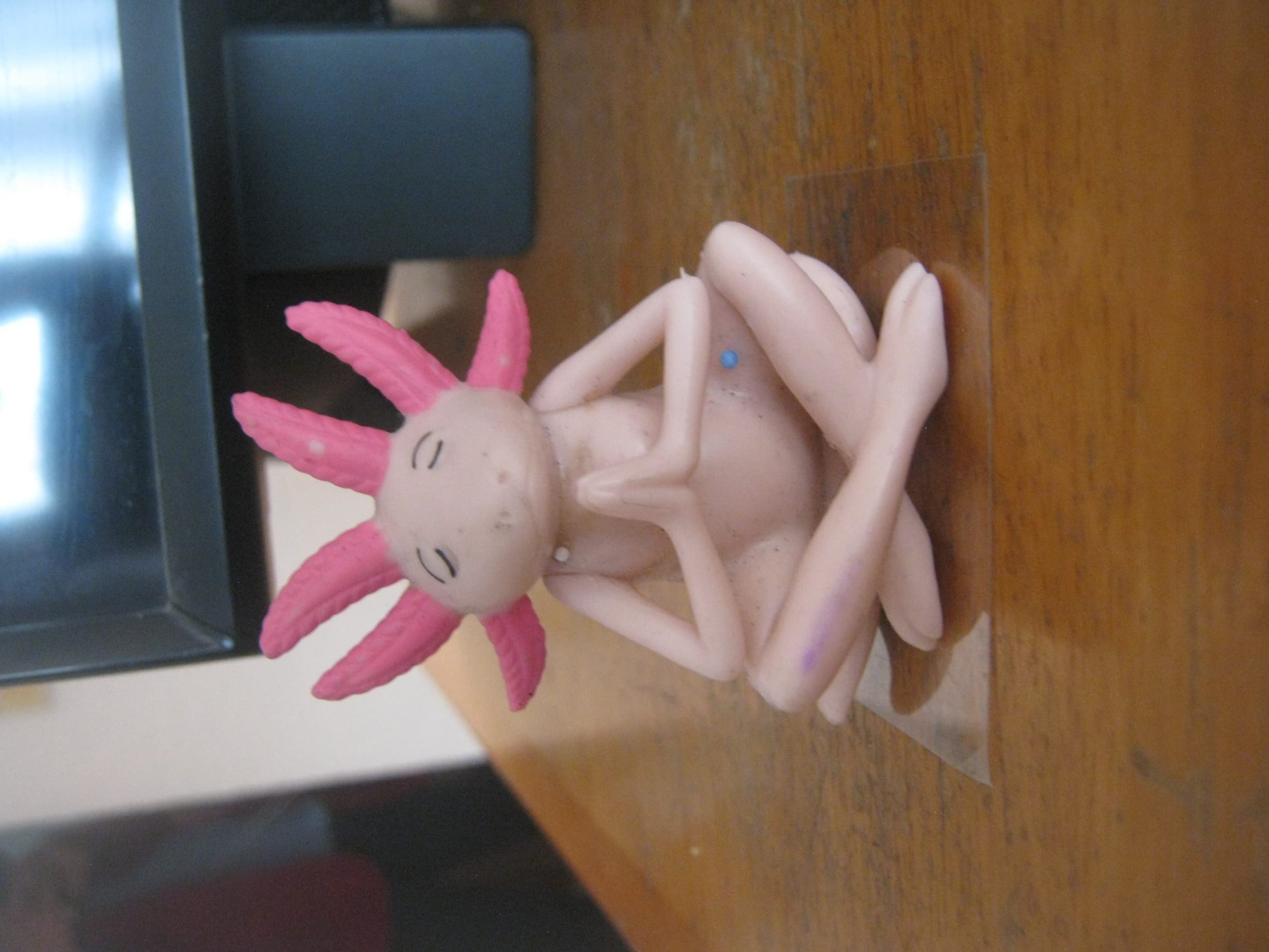 Canon powershot A480 - Imagen 6