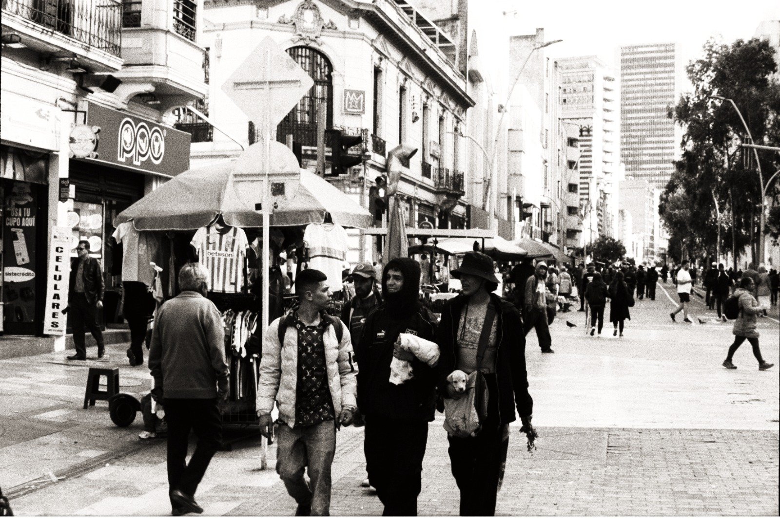 Canon 7 35mm - Imagen 7