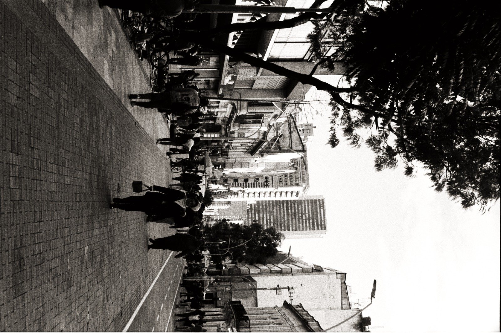 Canon 7 35mm - Imagen 9