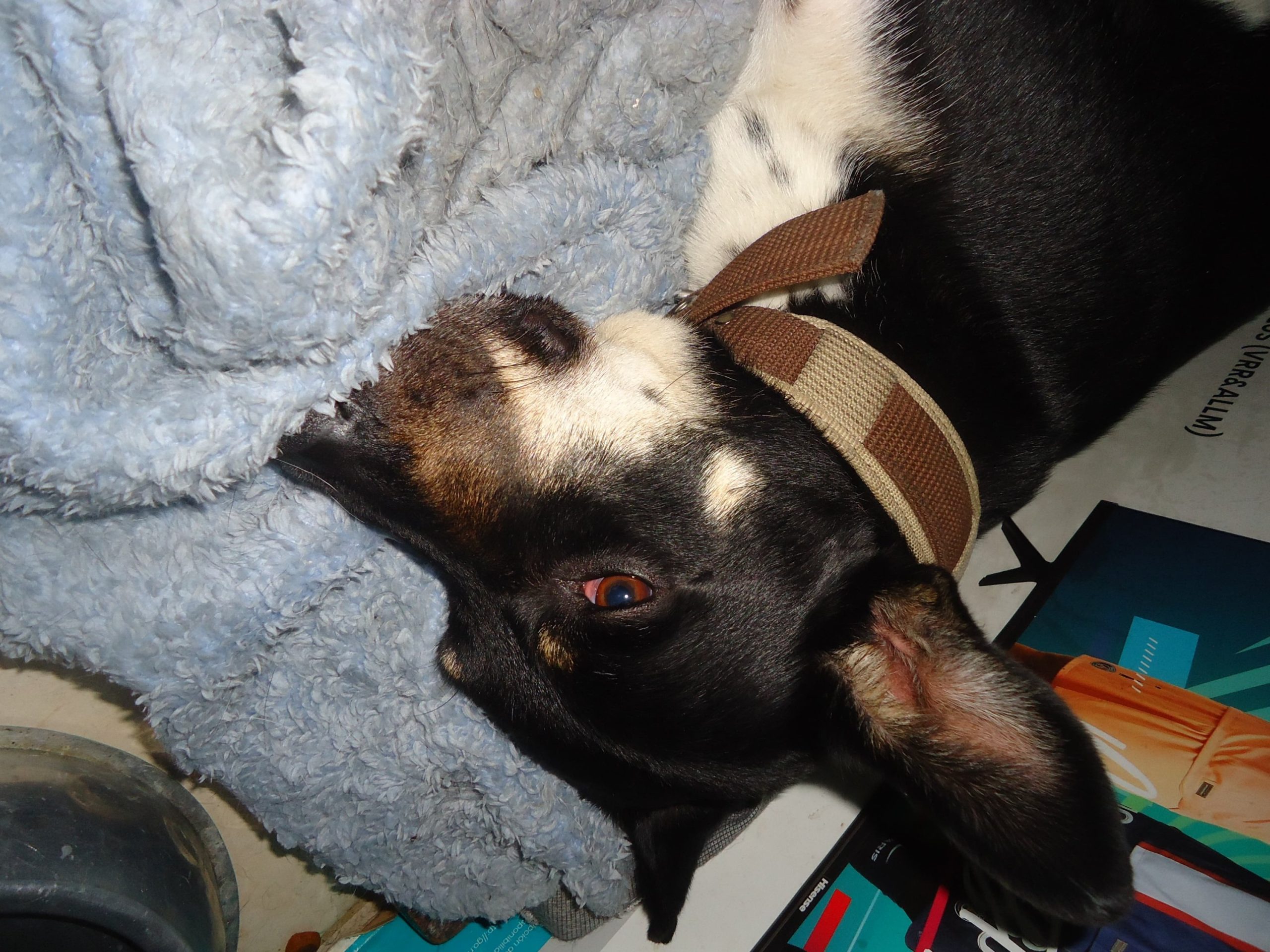 Sony cybershot W330 - Imagen 7