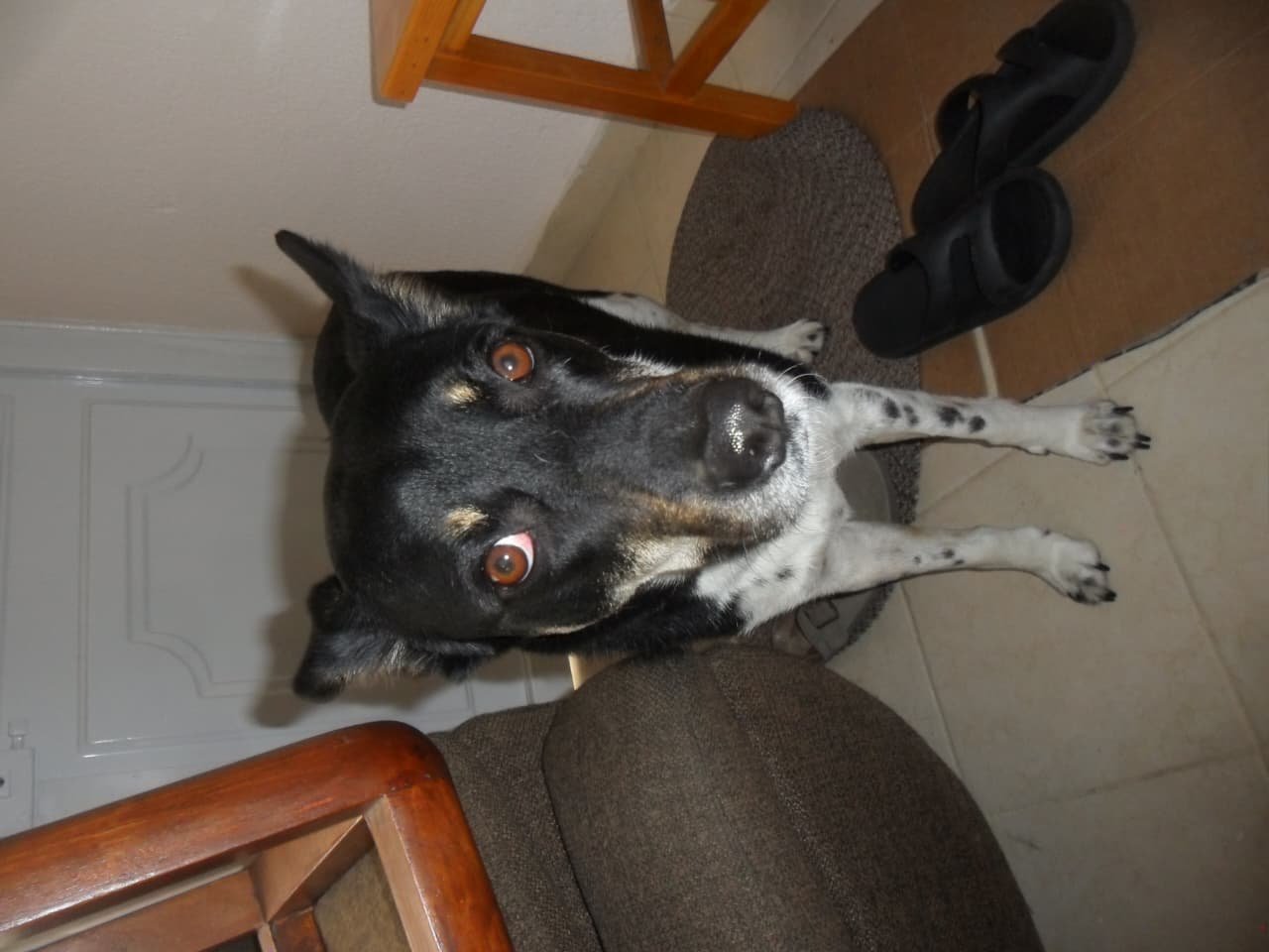 Sony cybershot W30 - Imagen 5