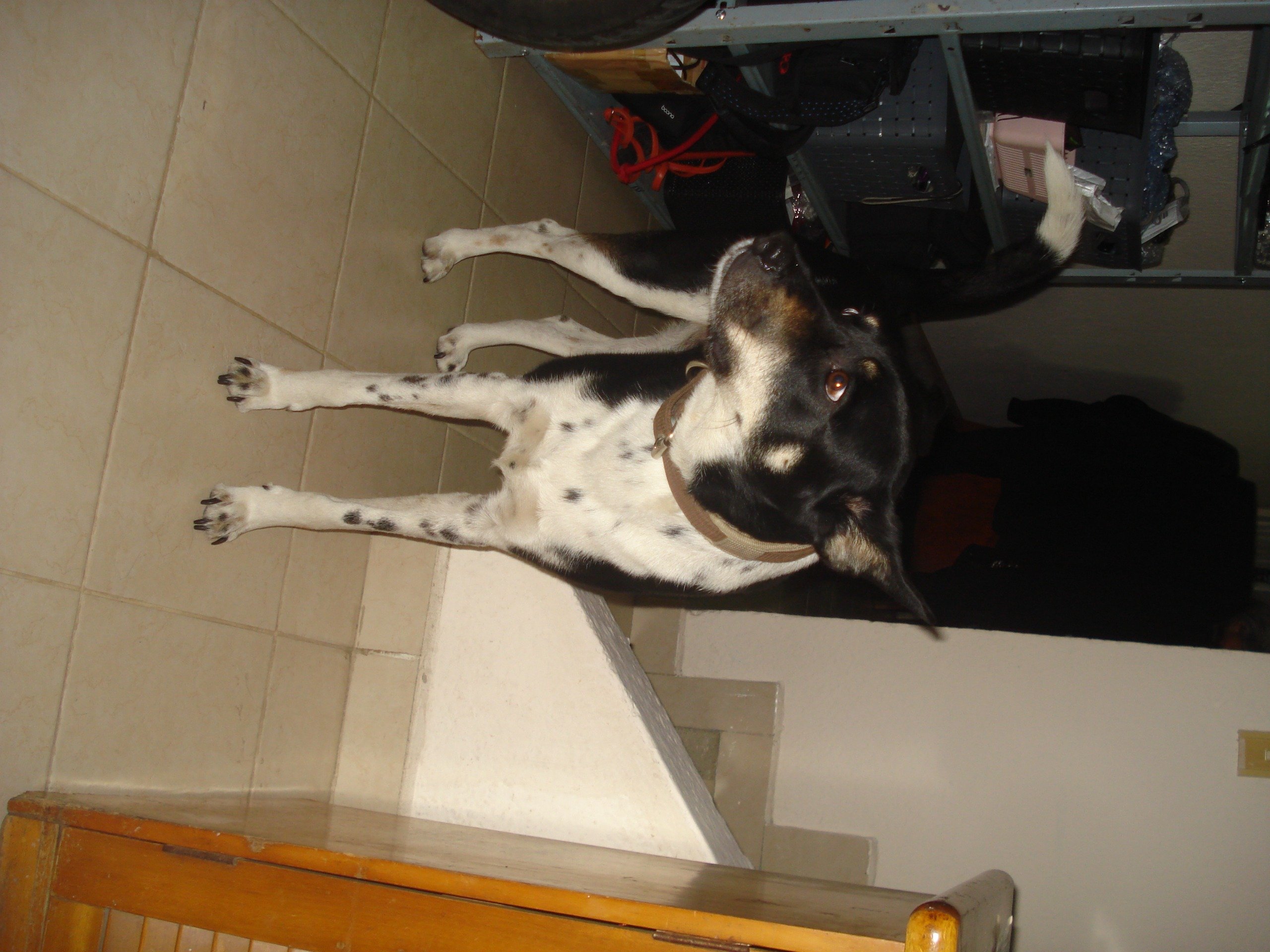 Sony Cybershot W55 - Imagen 8