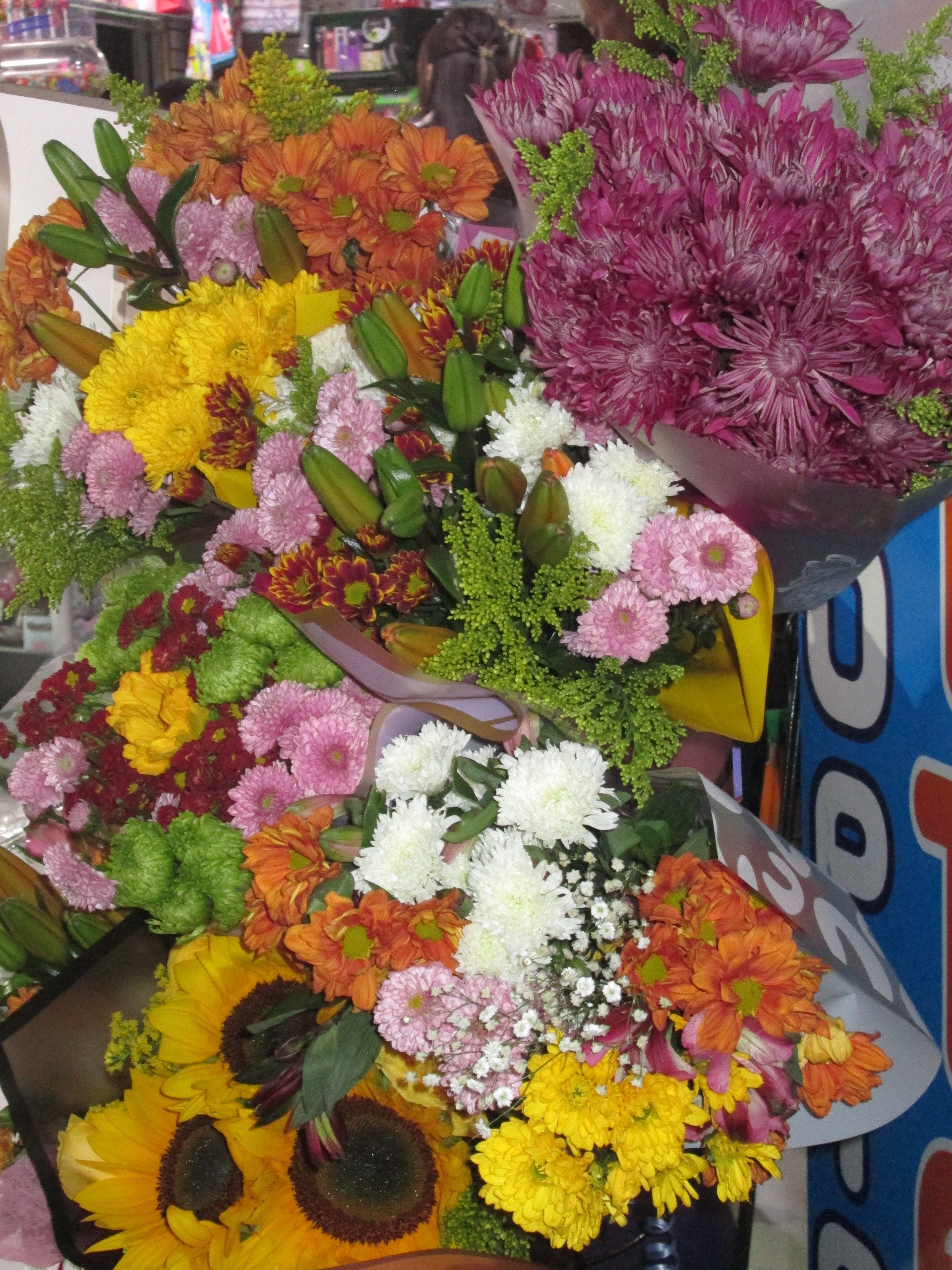 Canon powershot A2600HD - Imagen 5