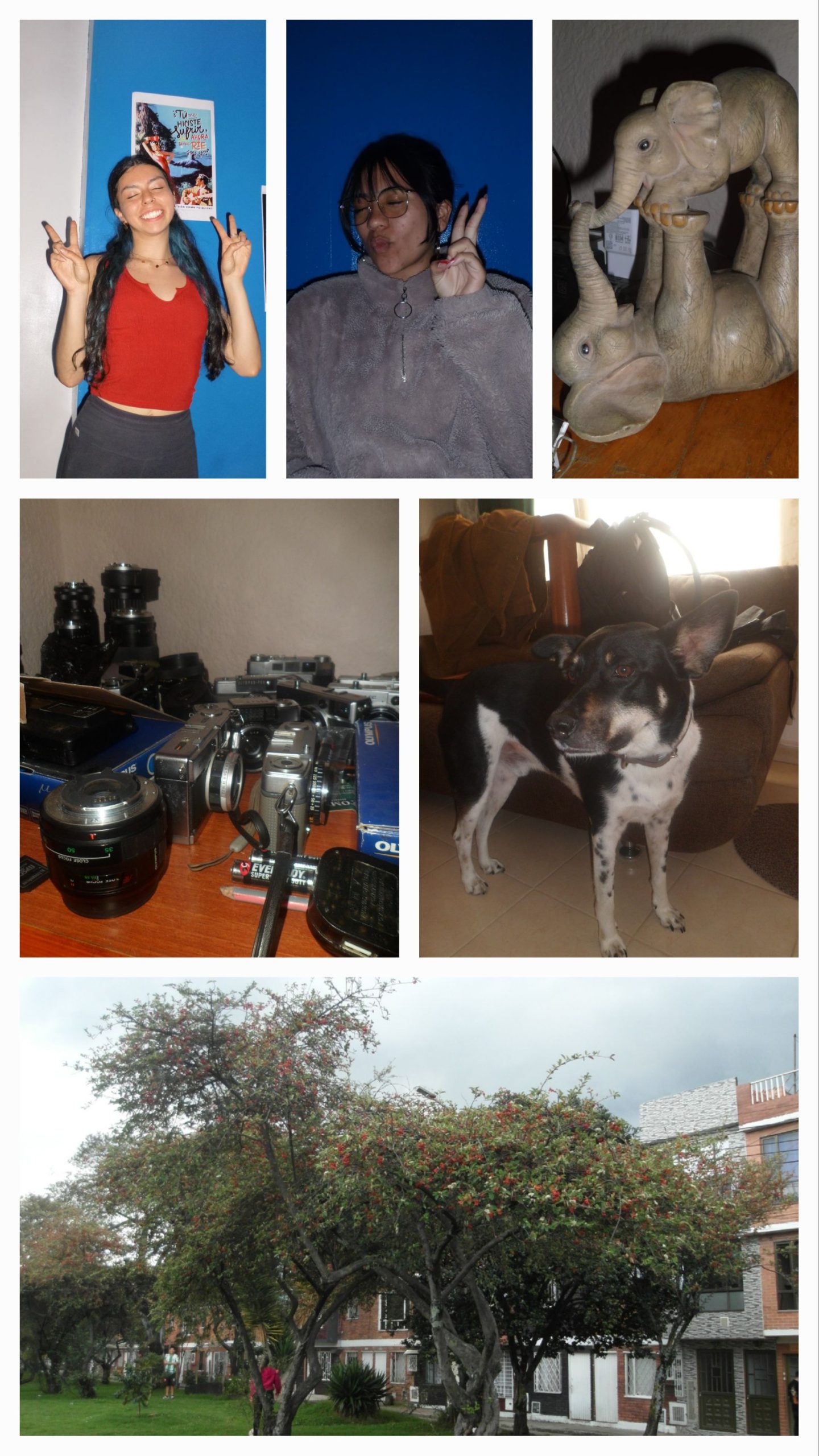 Samsung PL120 - Imagen 3