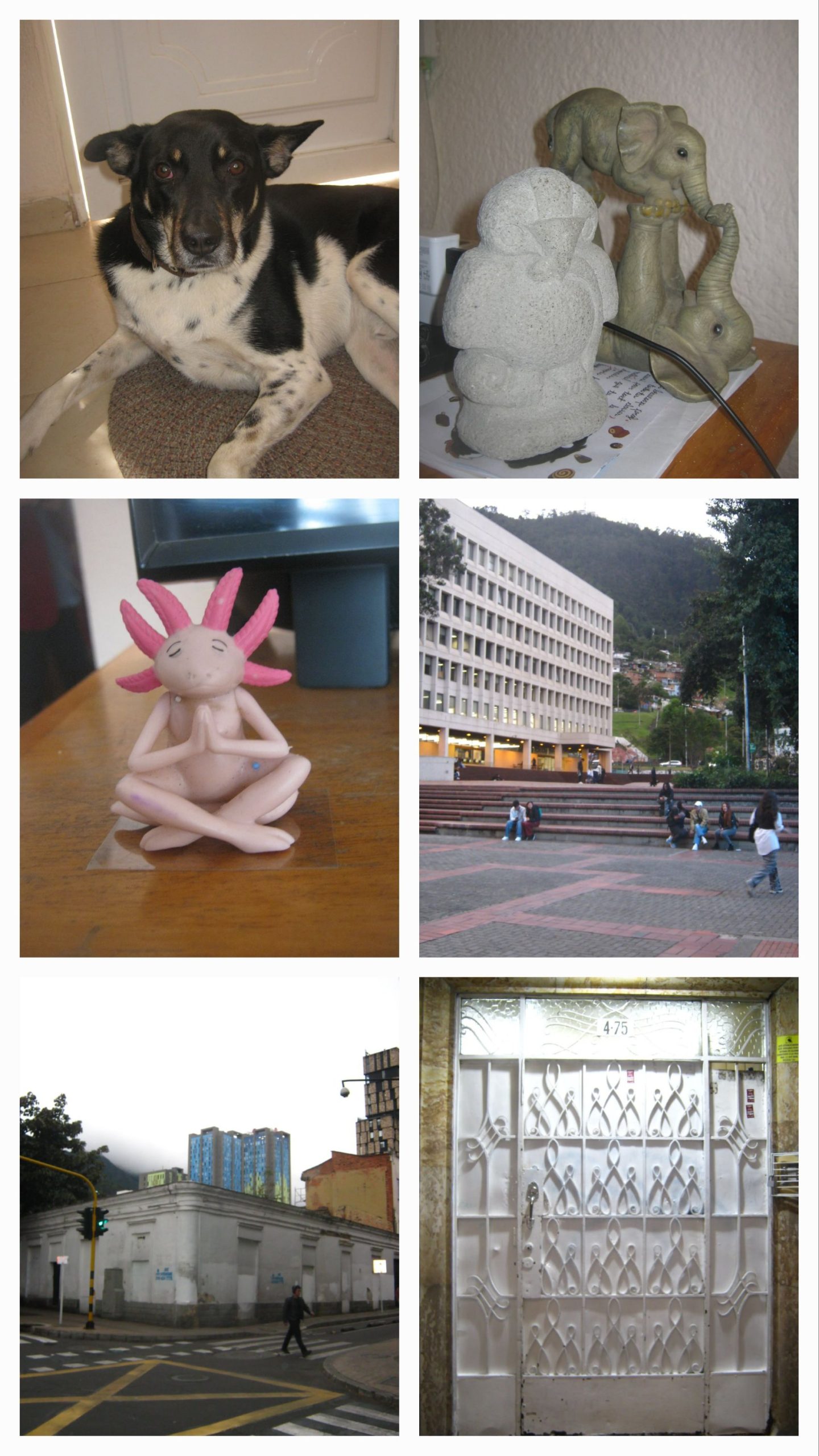 Canon powershot A480 - Imagen 2