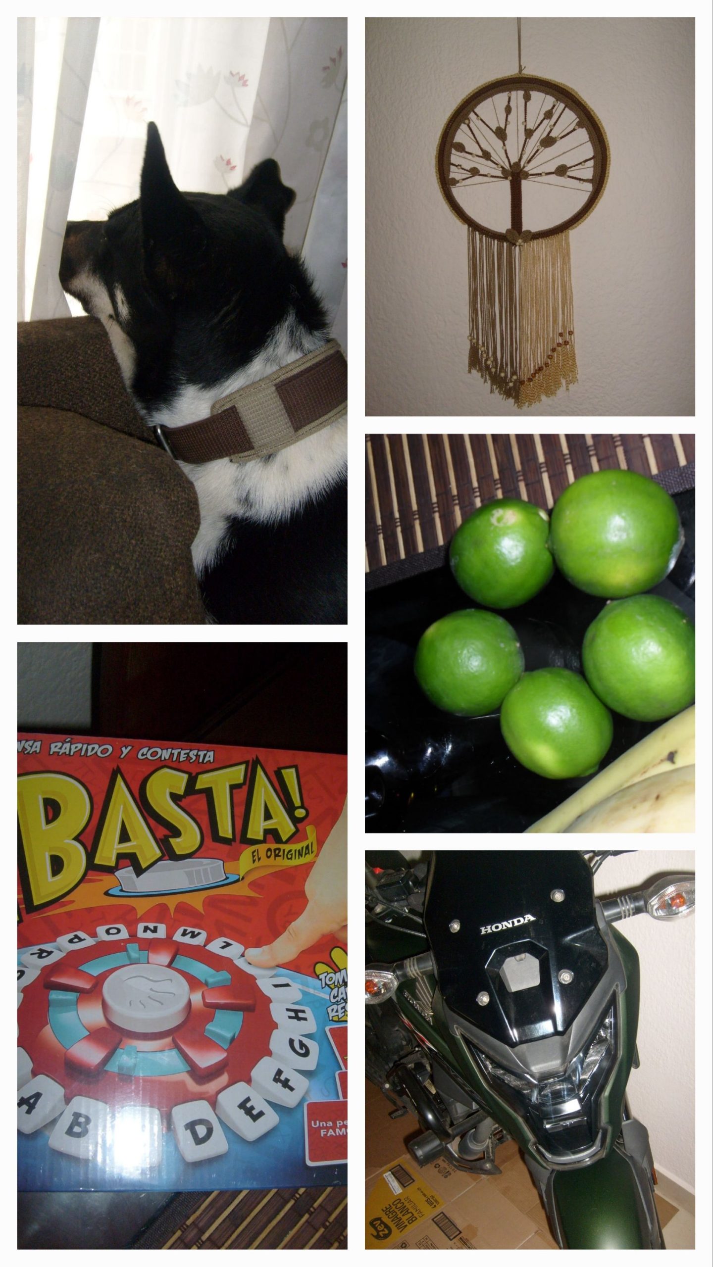 Samsung digimax D53 - Imagen 2