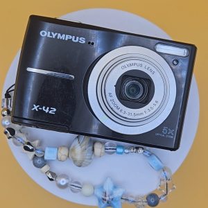 Olympus X42