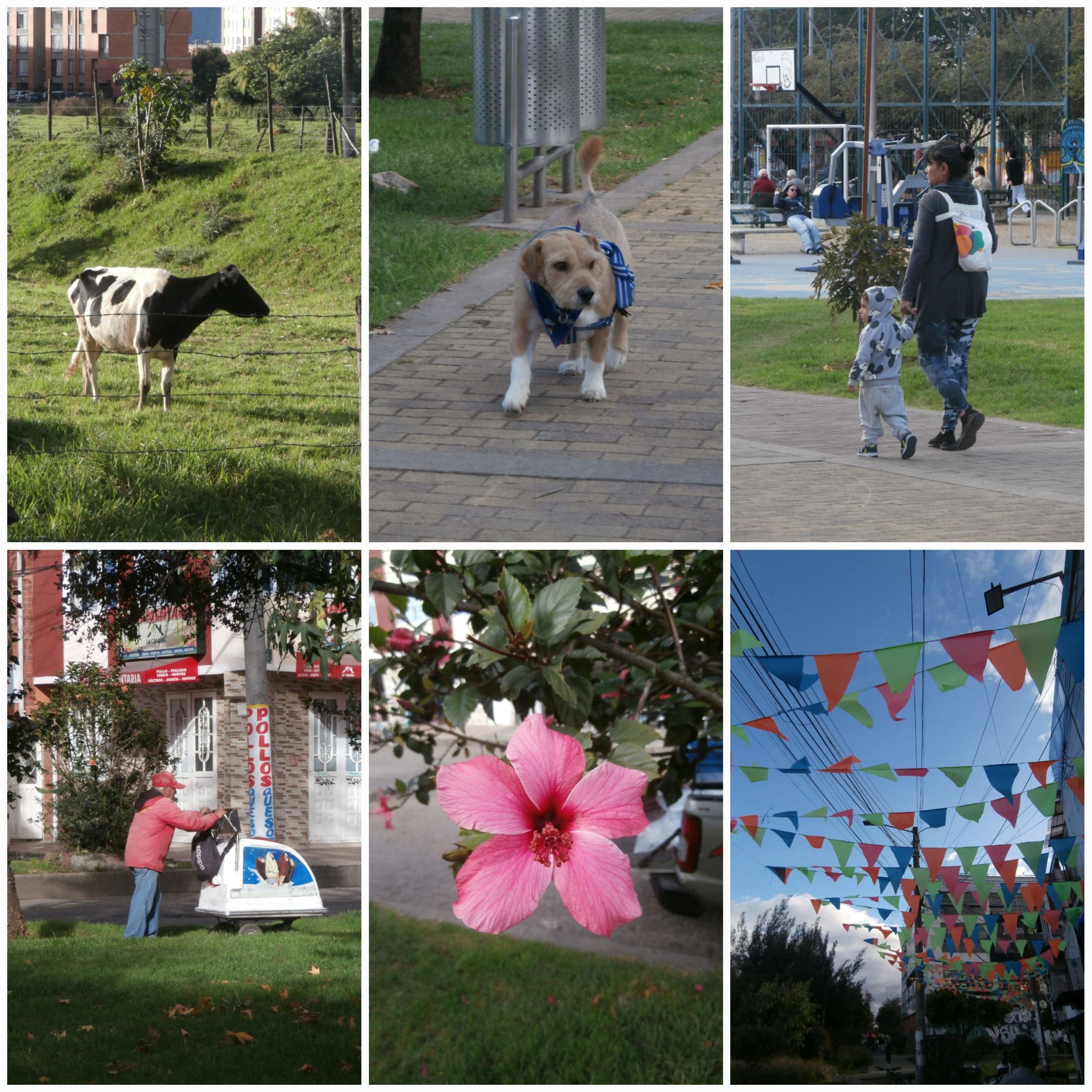 Olympus VR430 - Imagen 4