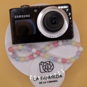 Samsung PL100