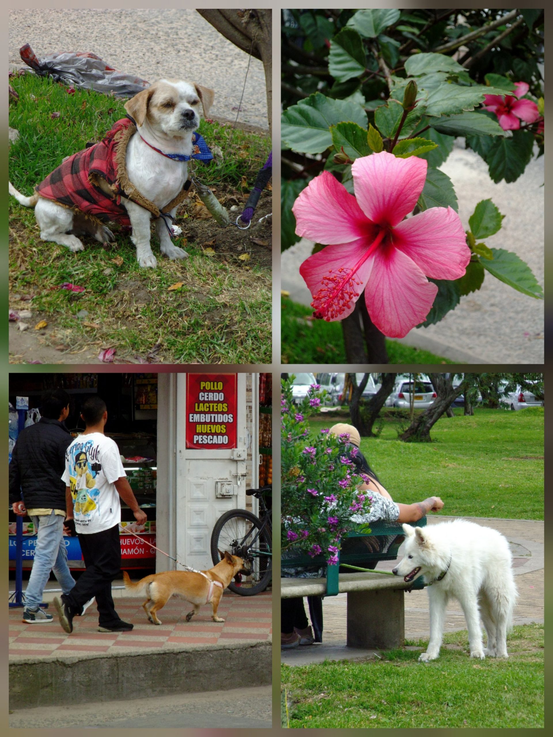 Fujifilm JZ100 - Imagen 3