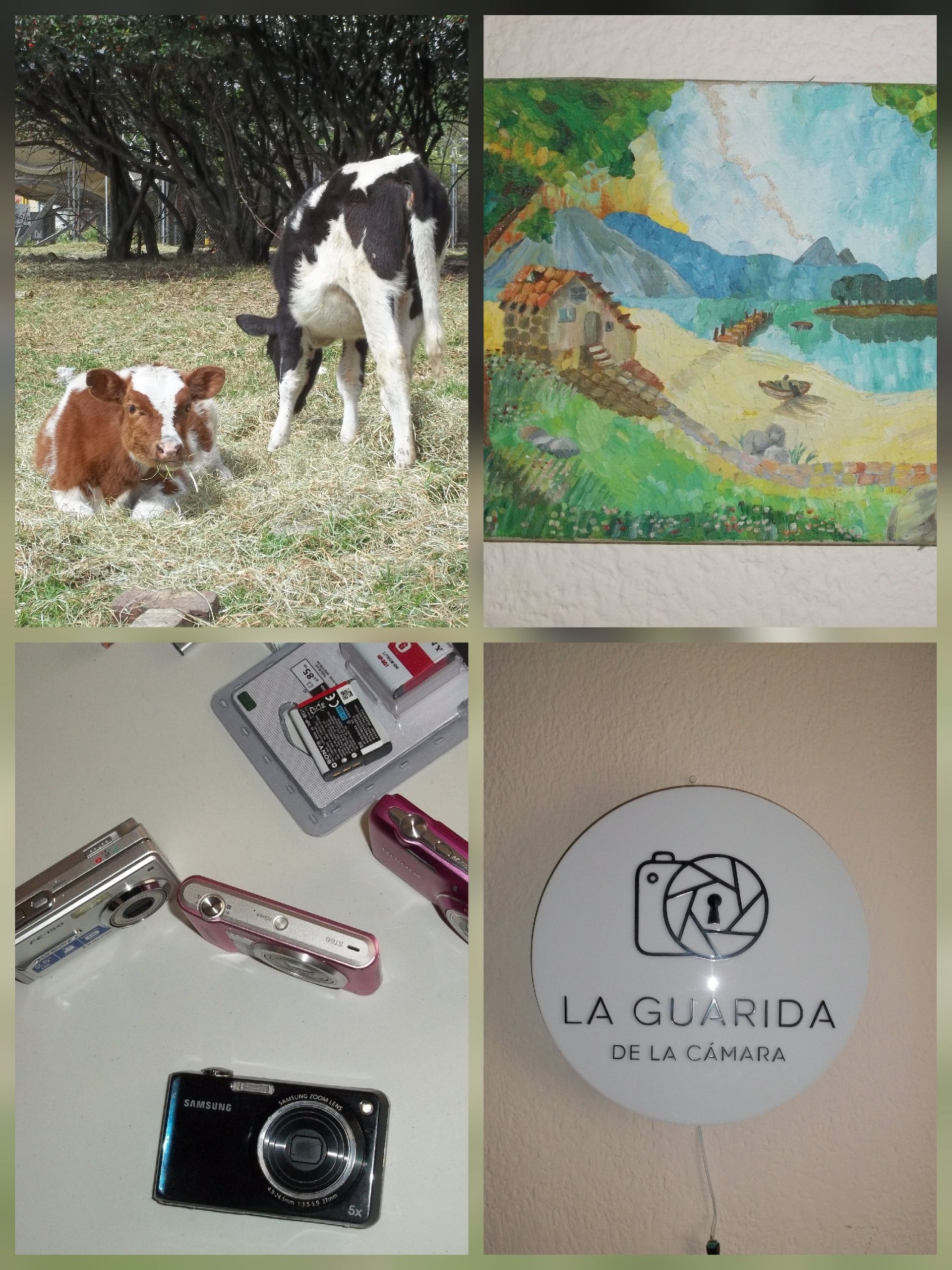 Kodak Easyshare M531 - Imagen 3