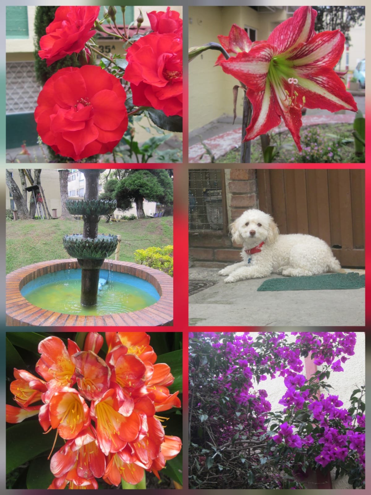 Canon powershot A1200 HD - Imagen 3