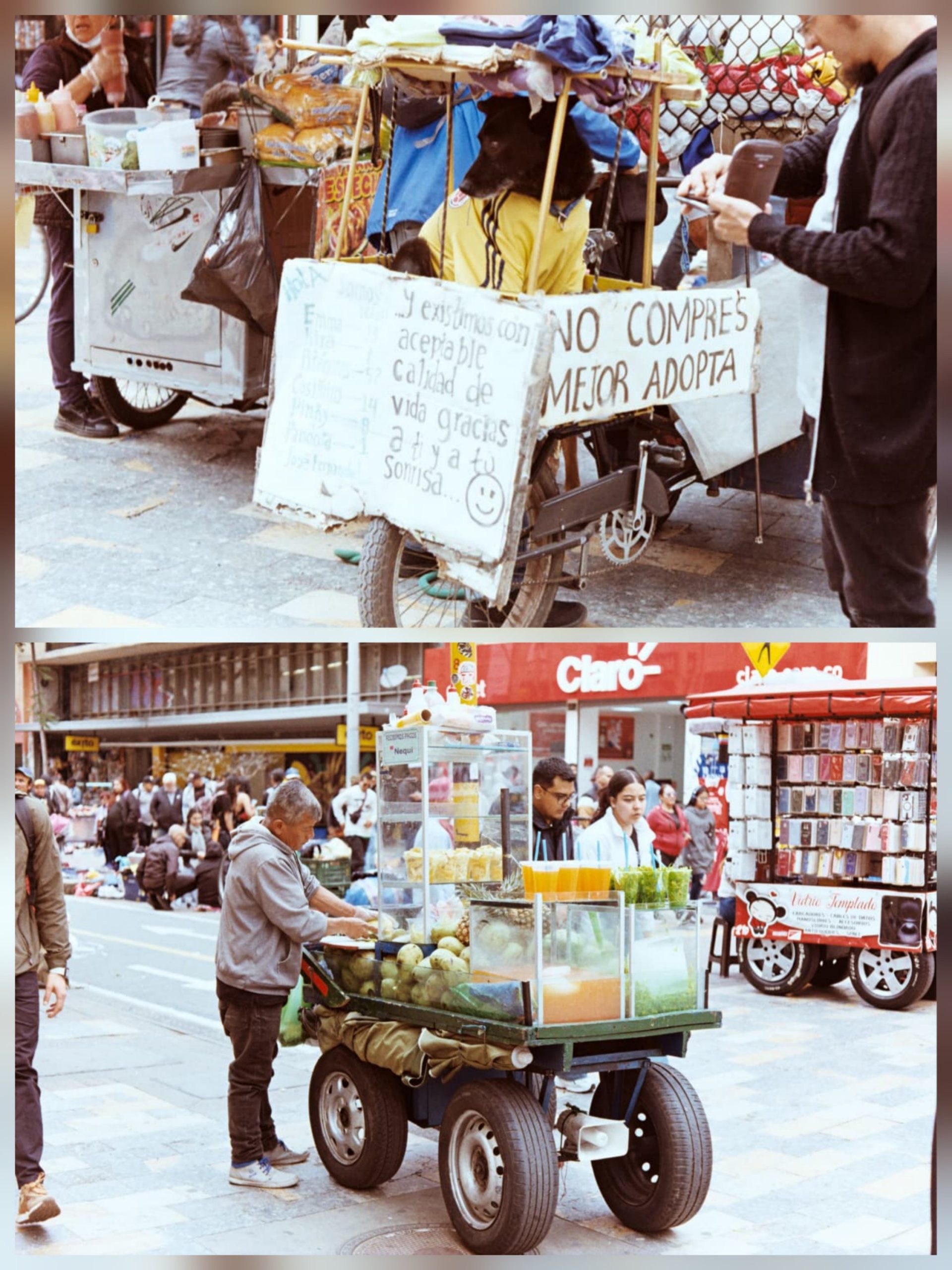 Canon AE1 - Imagen 3