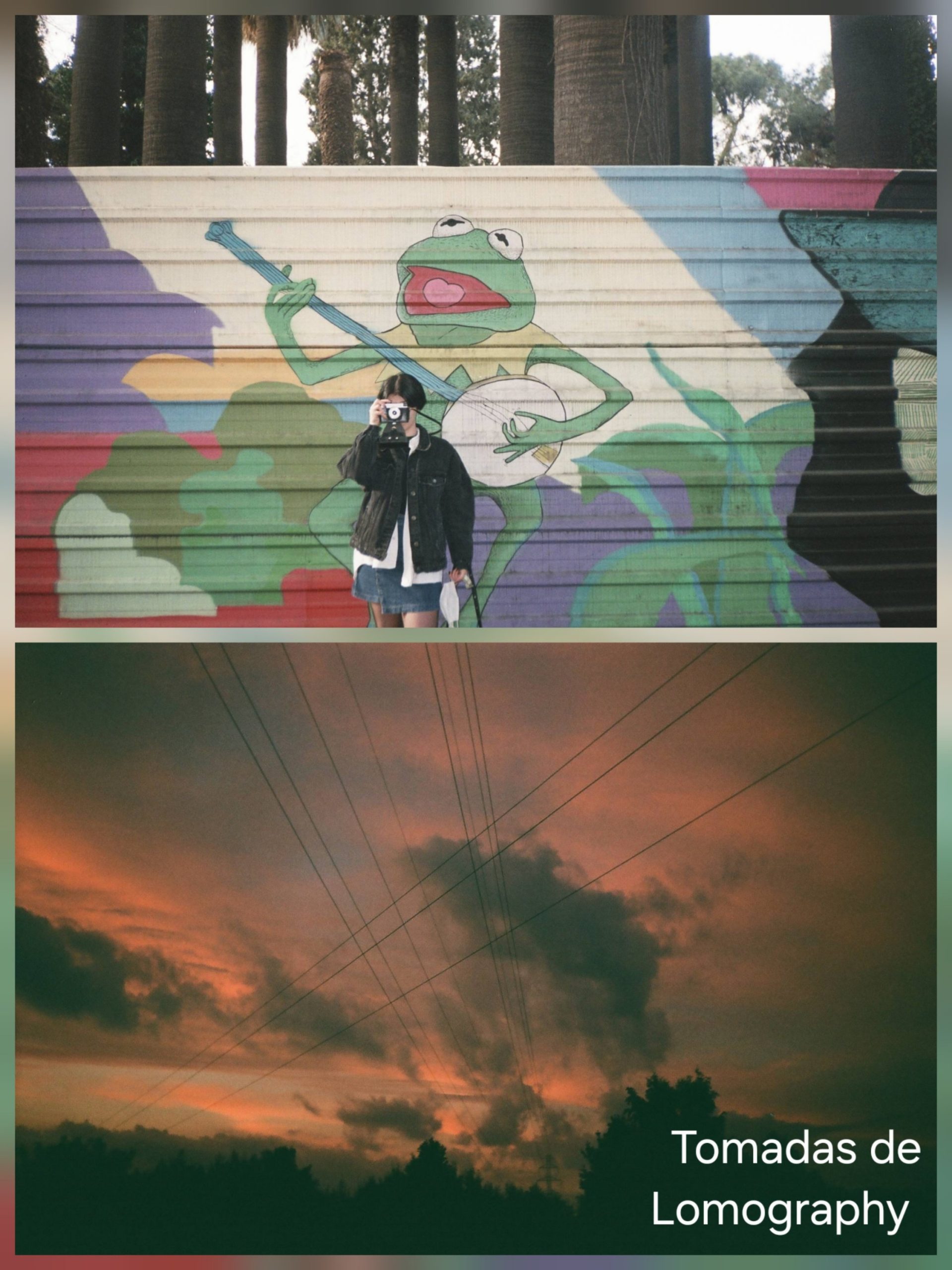 Minolta F19 BF - Imagen 2