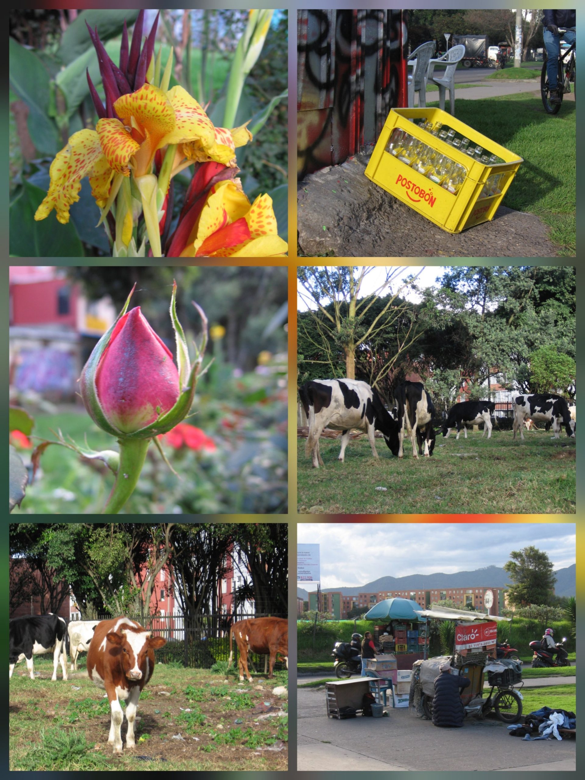 Canon powershot A520 - Imagen 3