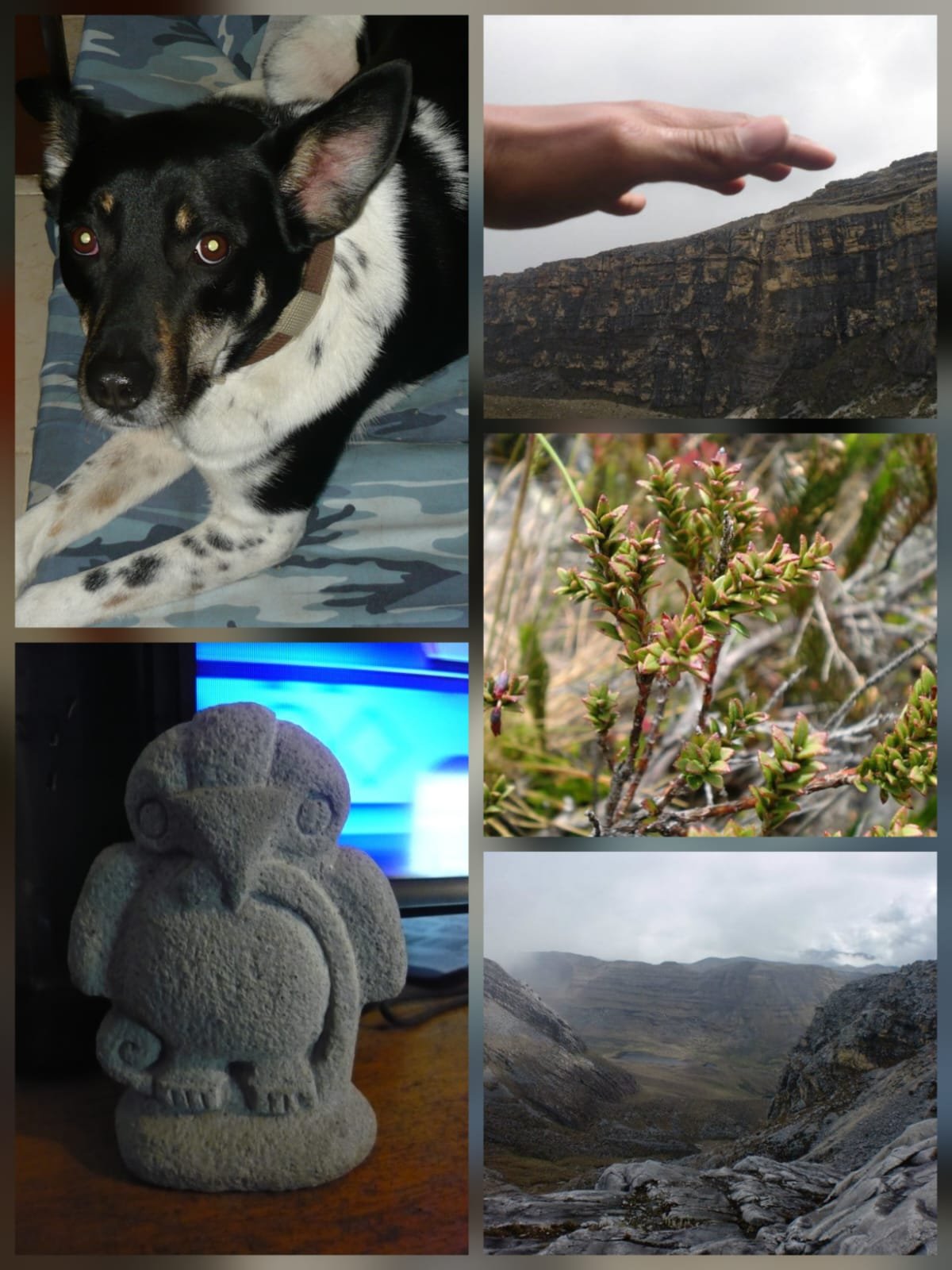 Lumix LS80 - Imagen 3