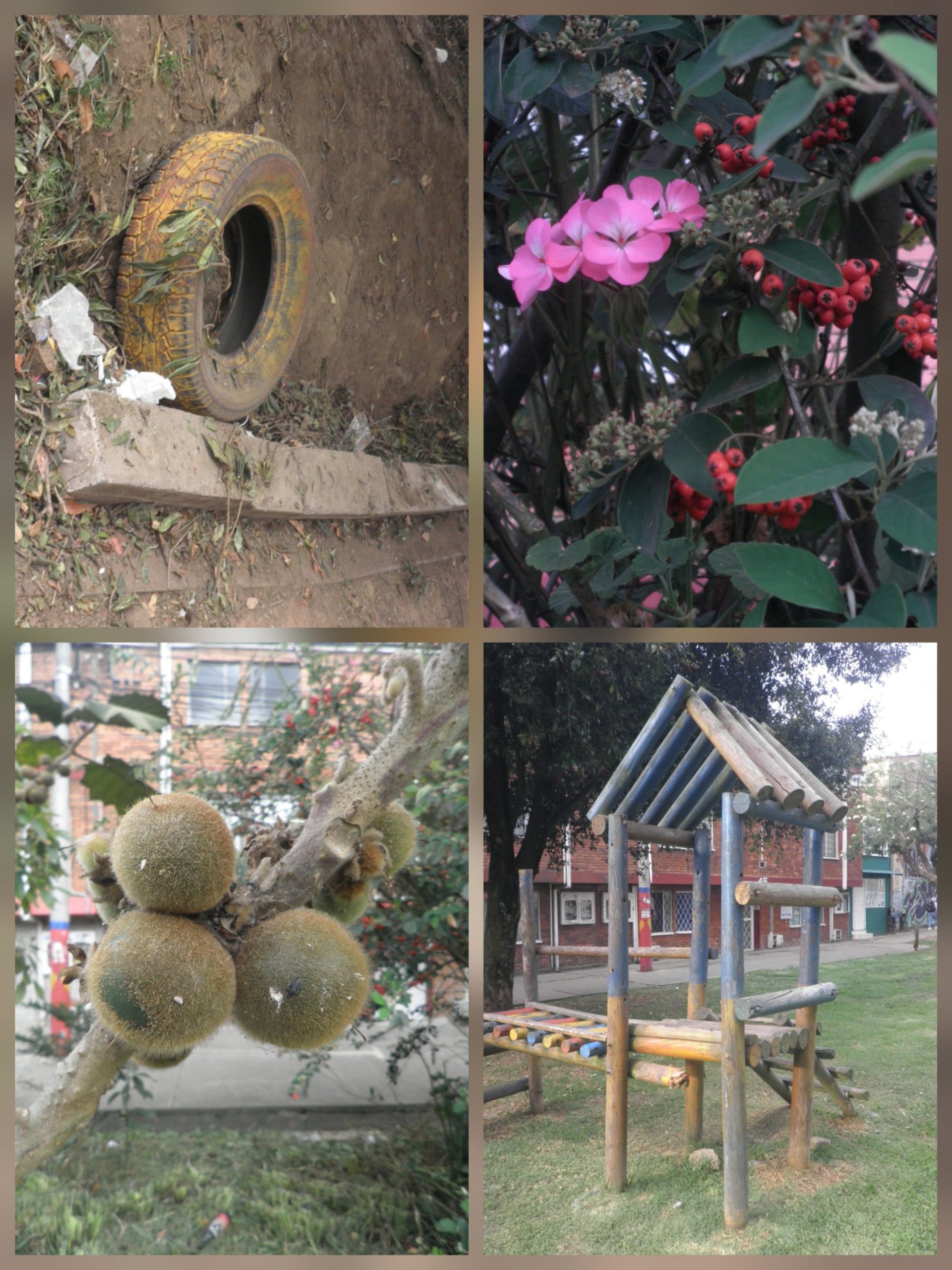 Olympus FE5020 - Imagen 3