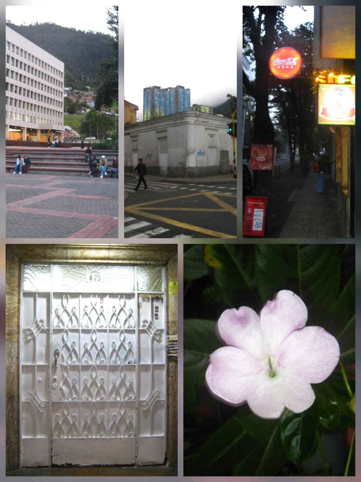 Canon powershot (A480/490/495) - Imagen 2