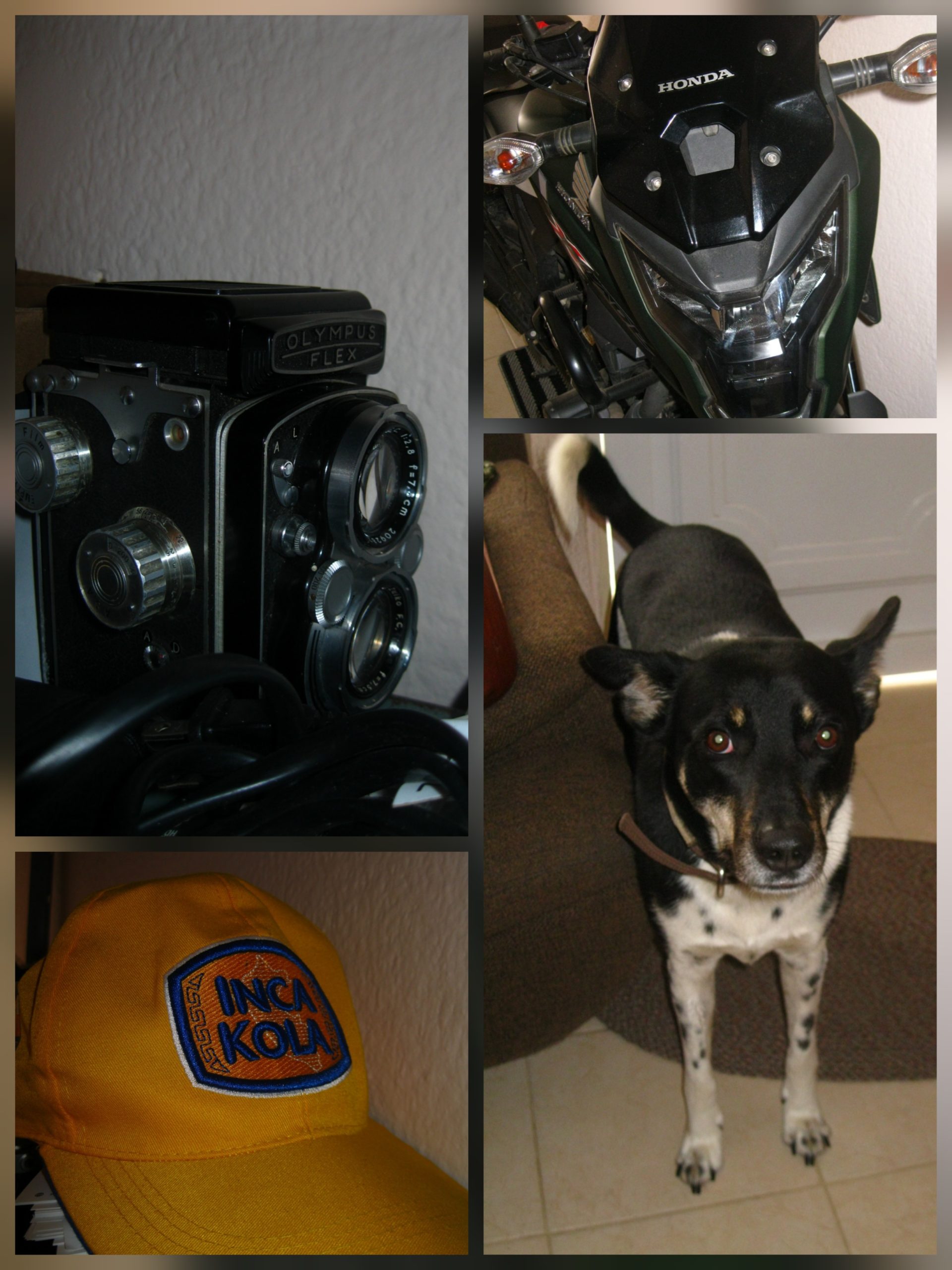 Canon PowerShot A3100 IS - Imagen 4