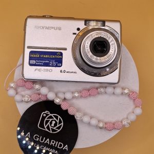 Olympus FE-190