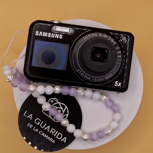 Samsung PL120 (Doble Pantalla)