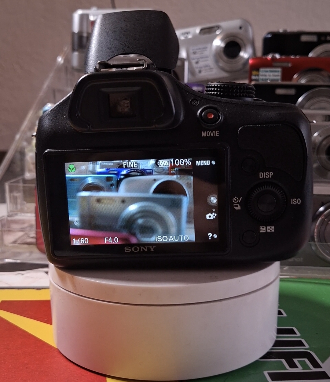 Sony Alpha α3000 - Imagen 2