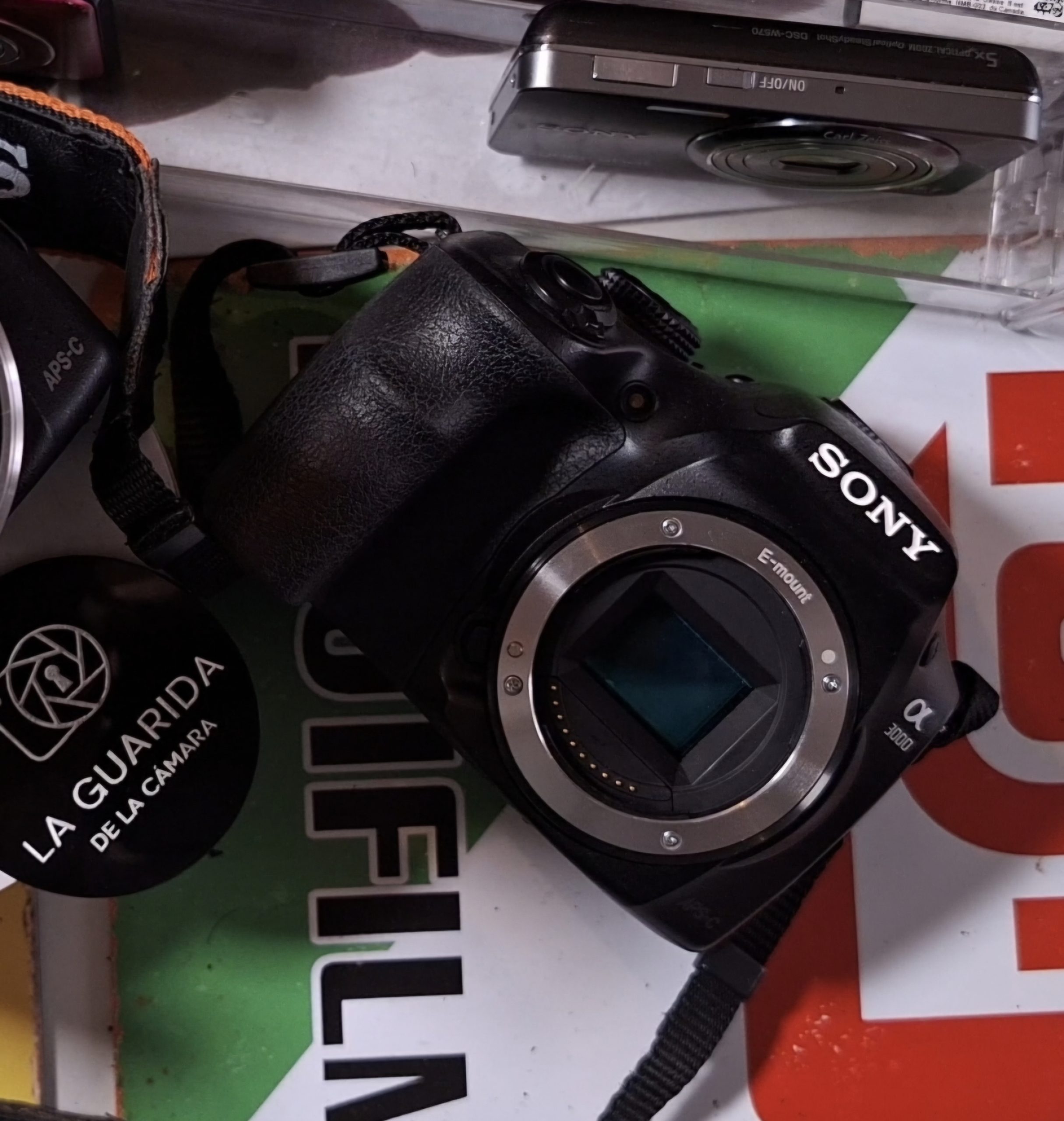 Sony Alpha α3000 - Imagen 3