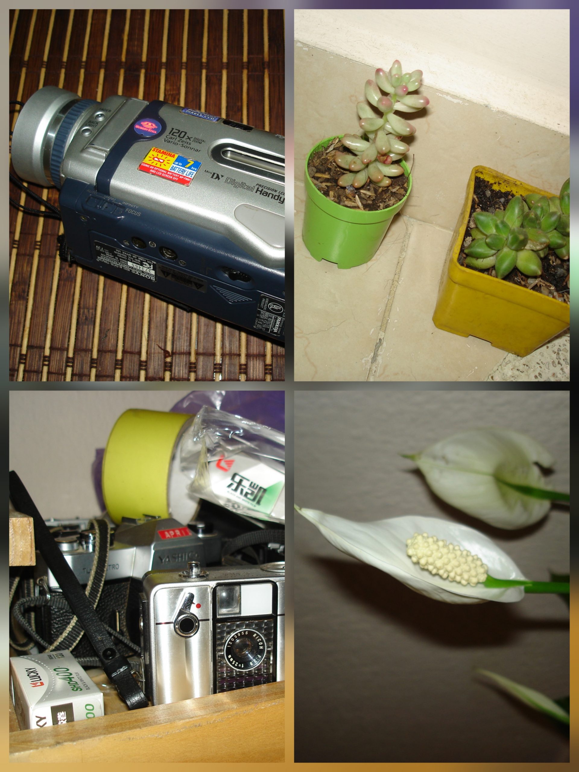 Sony Cyber-shot DSC-W5 - Imagen 3