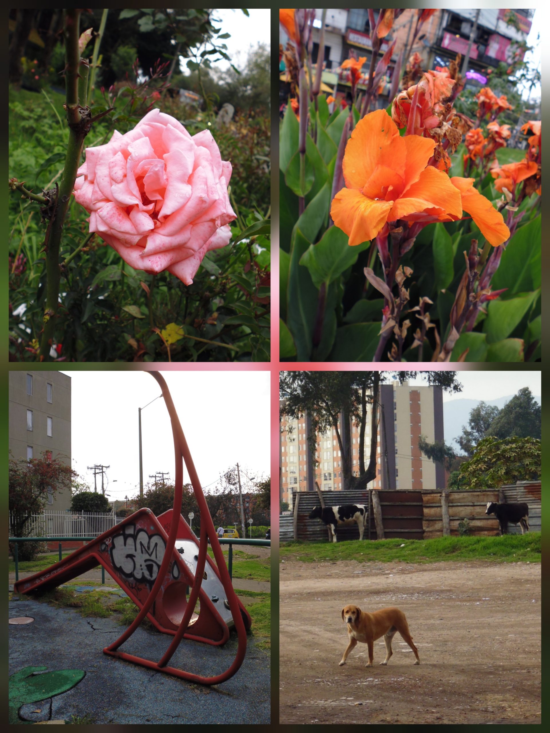 Panasonic Lumix DMC-FH12 - Imagen 3